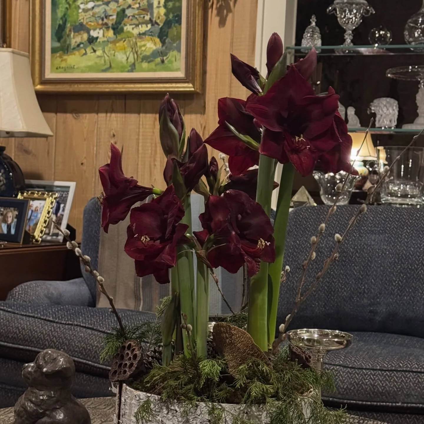 &lsquo;Mandela&rsquo; in full bloom.