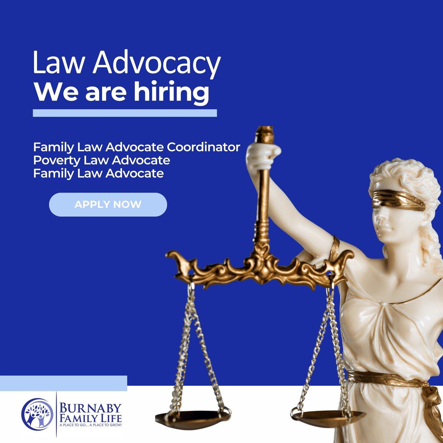 Exciting Opportunity! 🌟

Join our team at BFL as we partner with the Law Foundation of BC for a new Law Advocacy program. We will be hosting a team of advocates to support individuals facing barriers to accessing the family justice system, with a fo