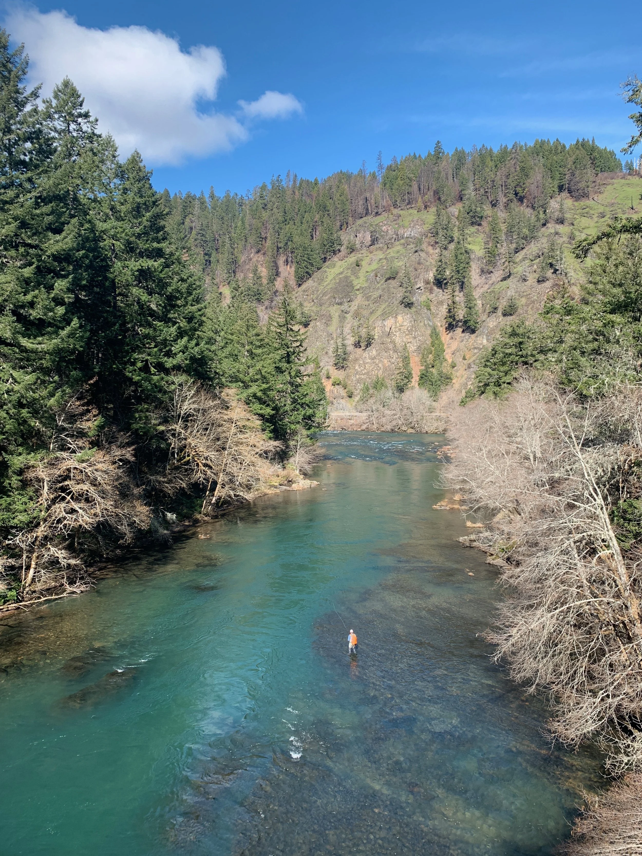 Person fly fishing in a clear river surrounded by forested hills under a blue sky.