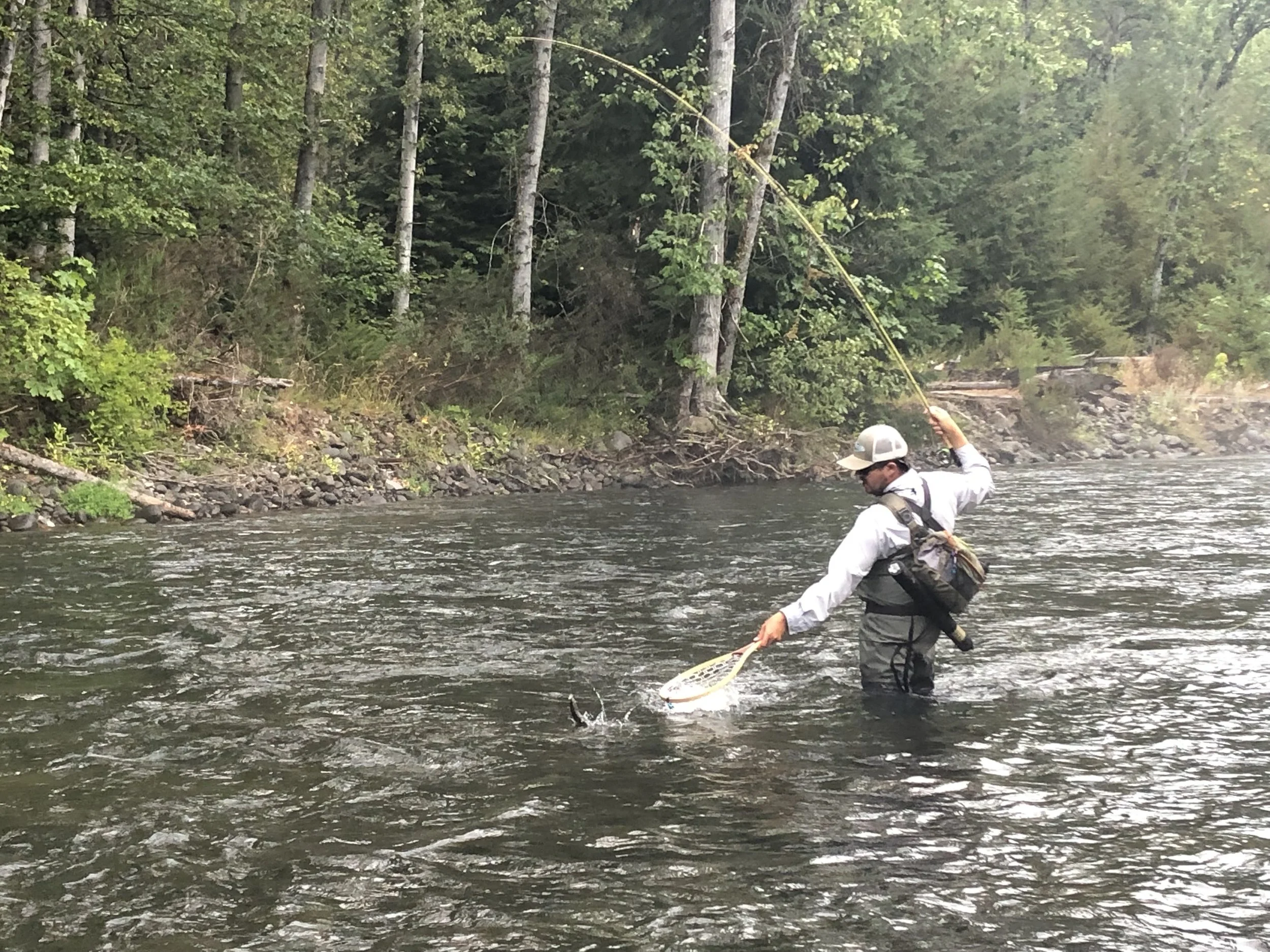 Person fly fishing in a river surrounded by trees