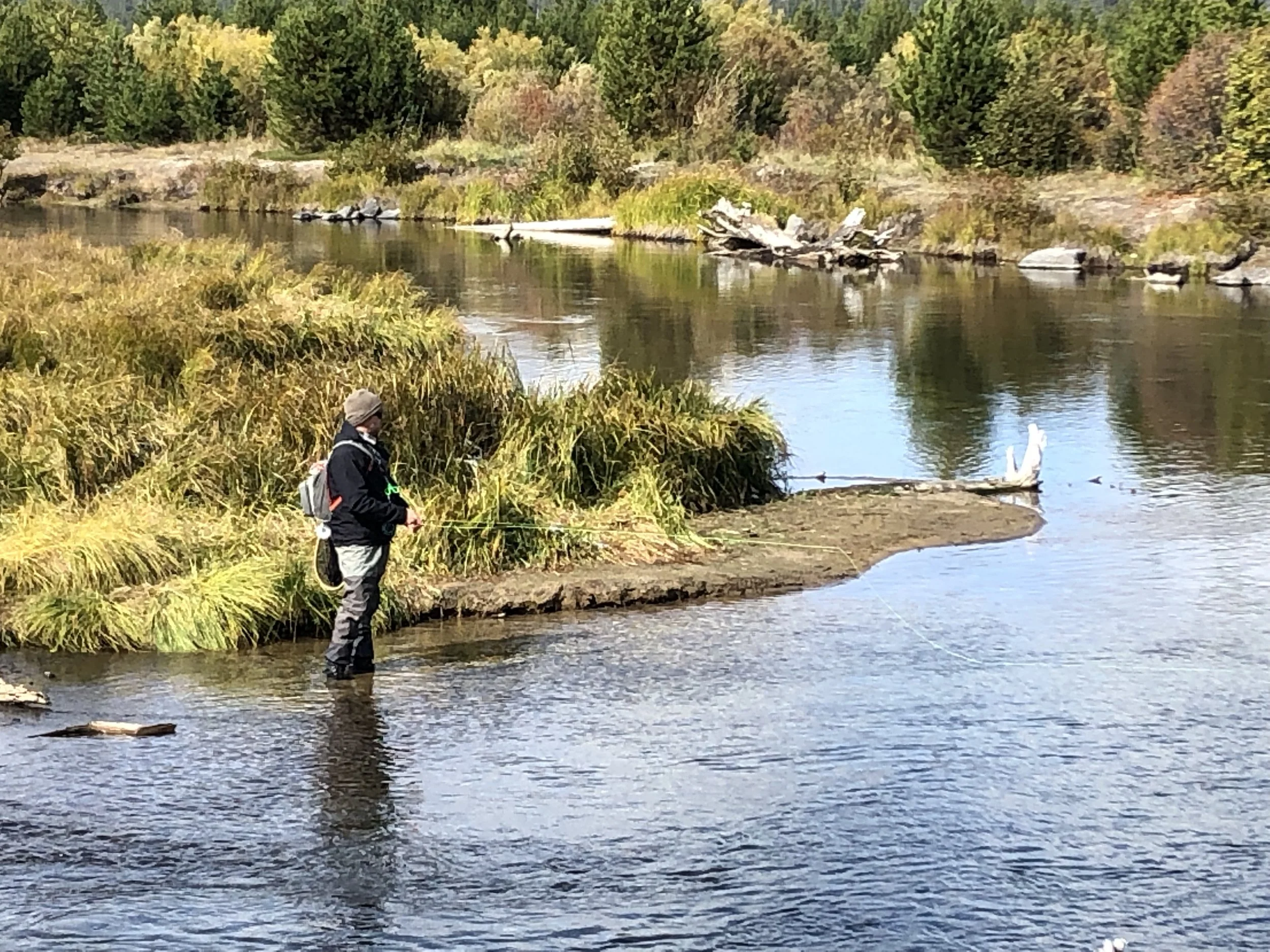 Person fishing in a river surrounded by grass and trees