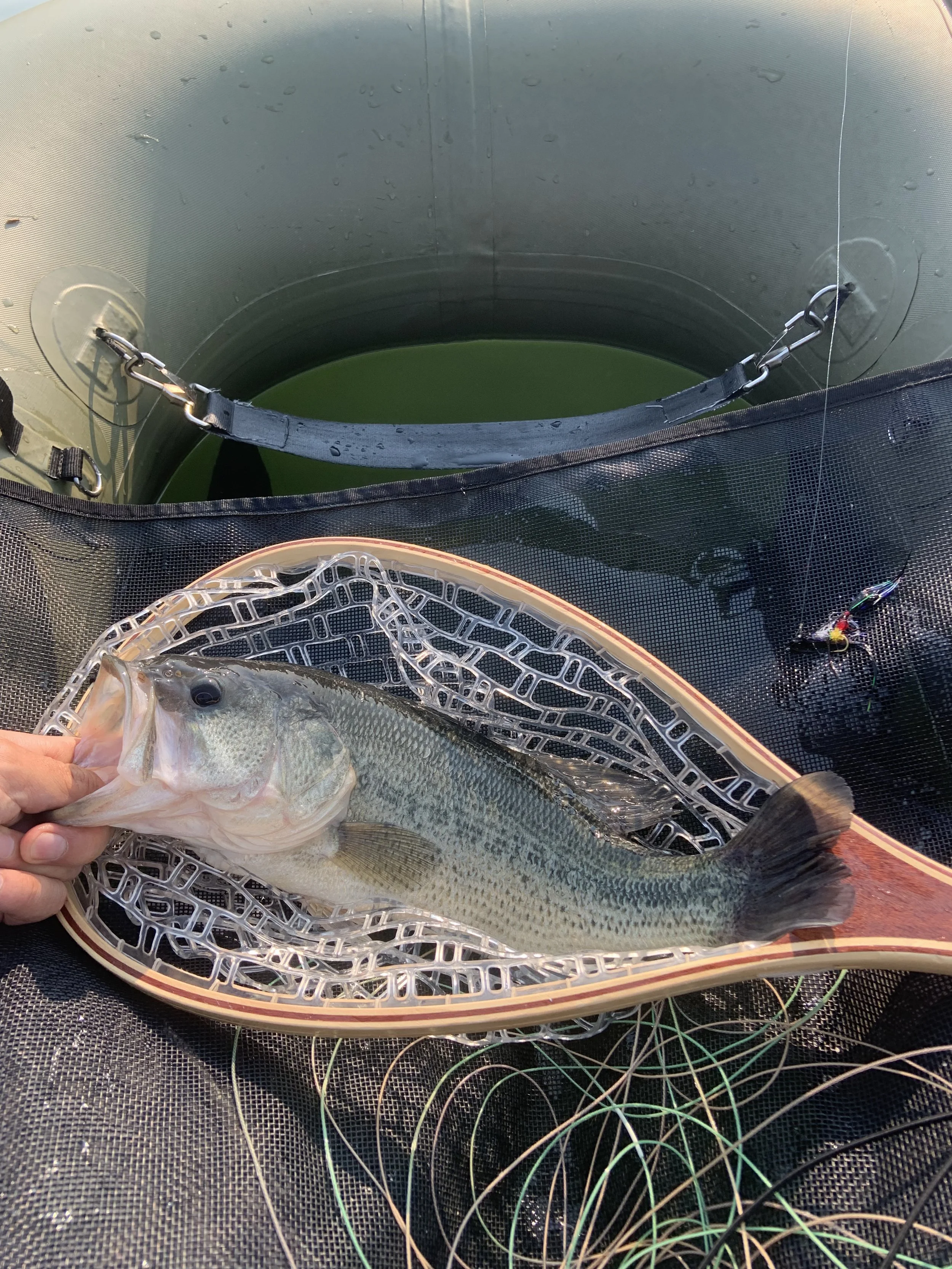Person holding a largemouth bass in a fishing net, with an inflatable float tube and fishing gear visible.