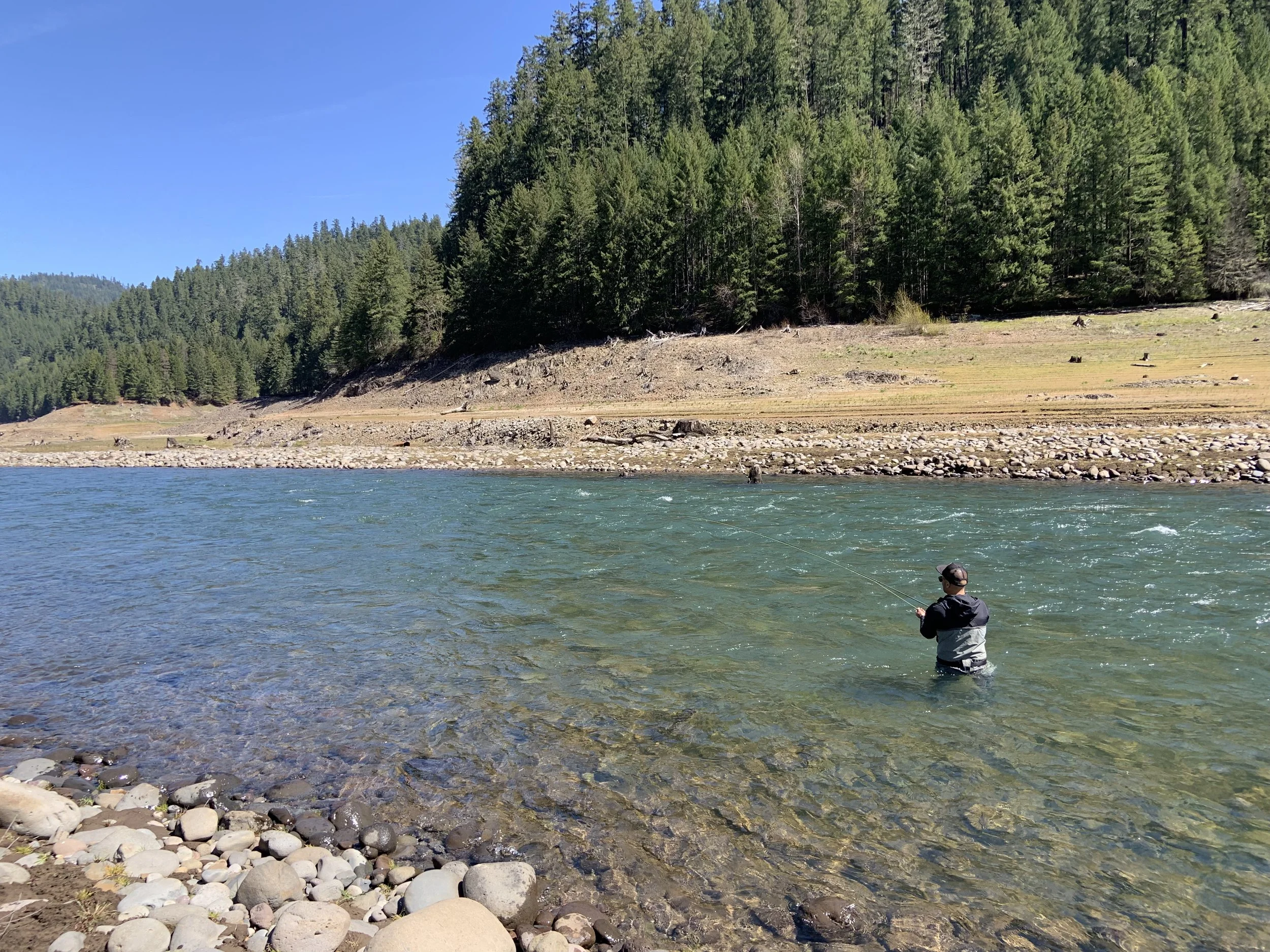 Person fly fishing in a river surrounded by trees and rocky shore