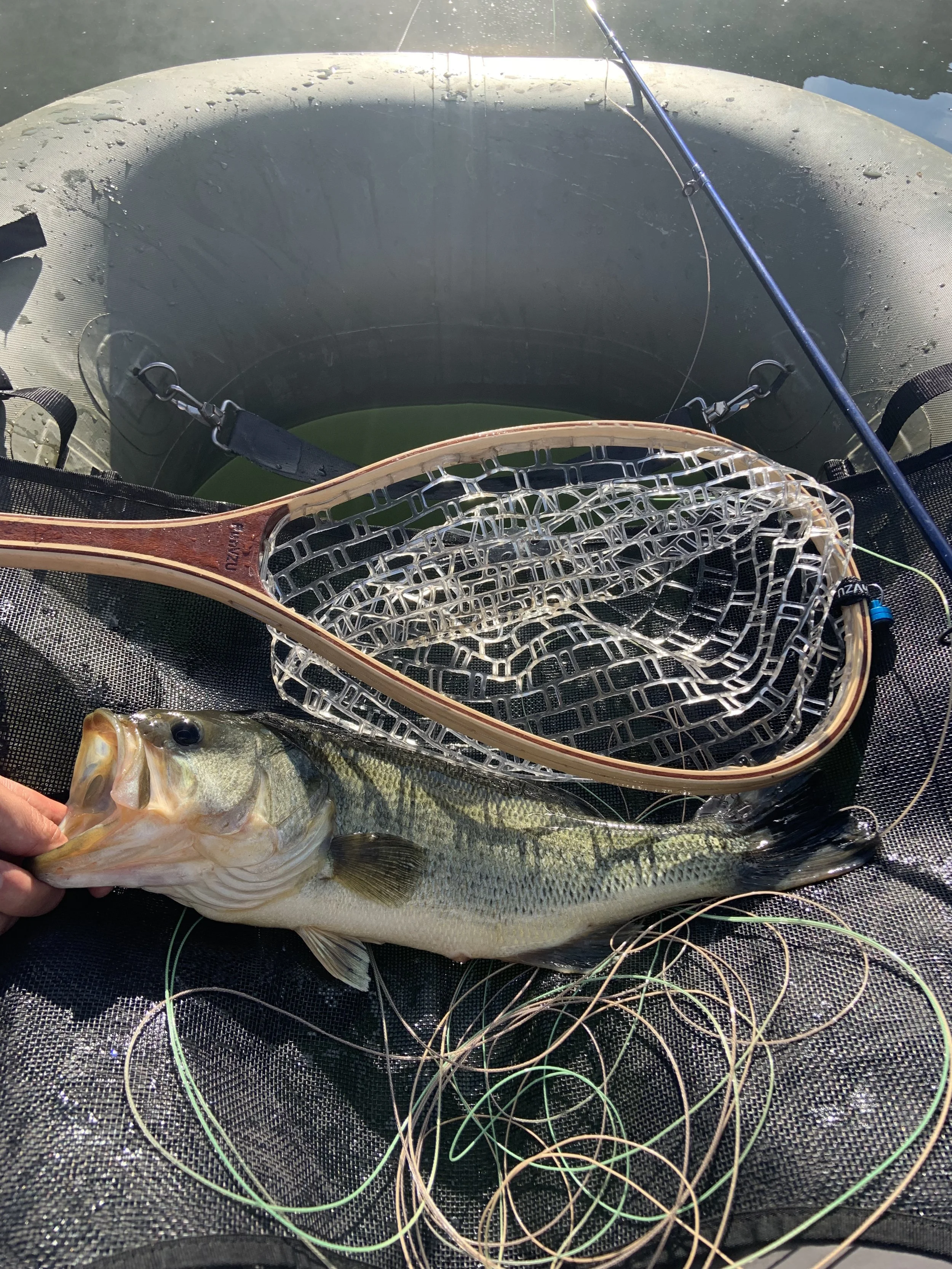 Largemouth bass resting on a fishing net inside an inflatable boat with fishing rod and lines visible.