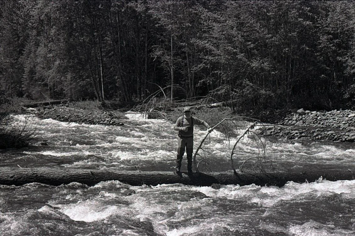 Person standing on a log over a river in a forest.