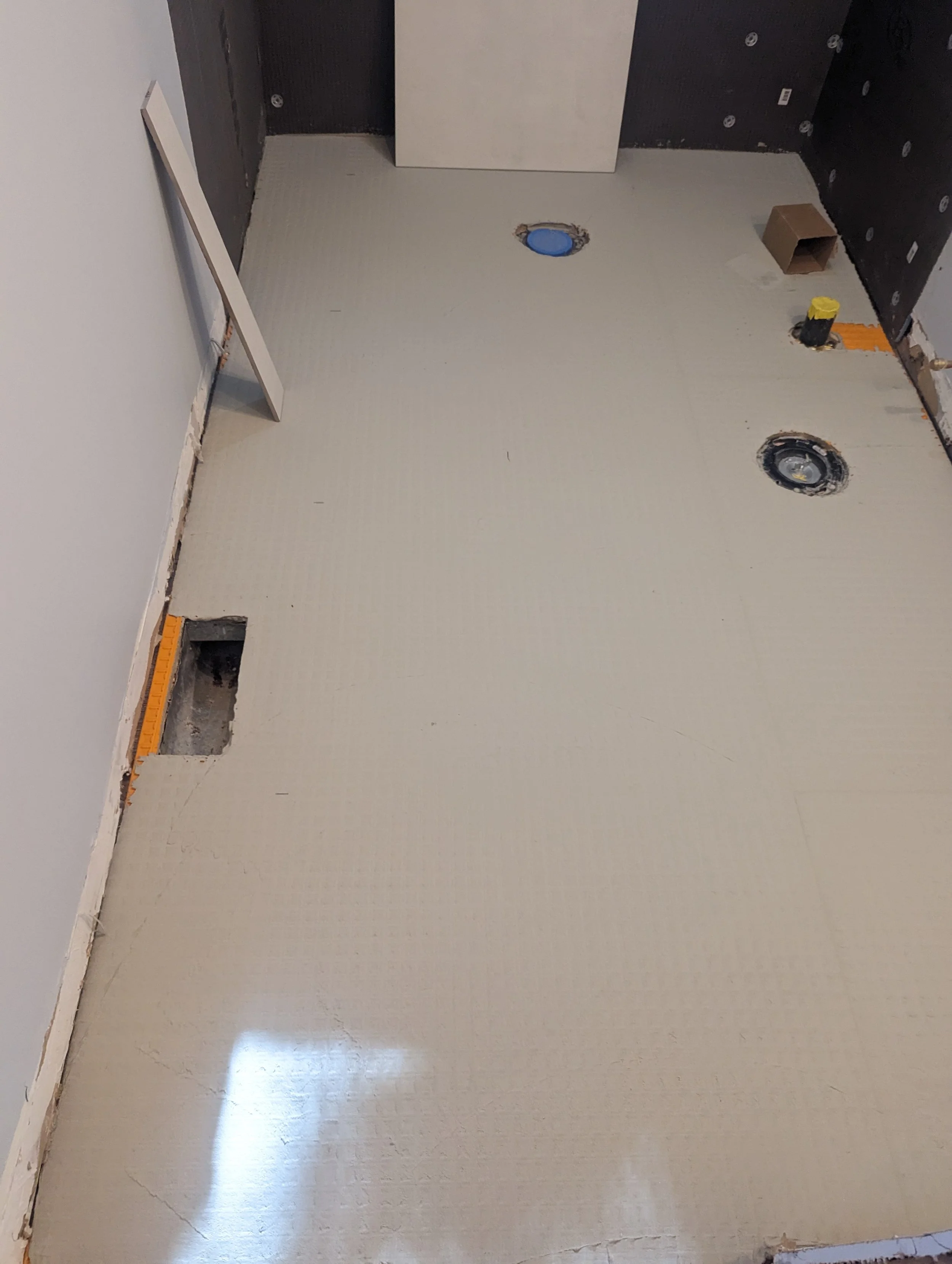 PXL_20230413_135233398.jpg