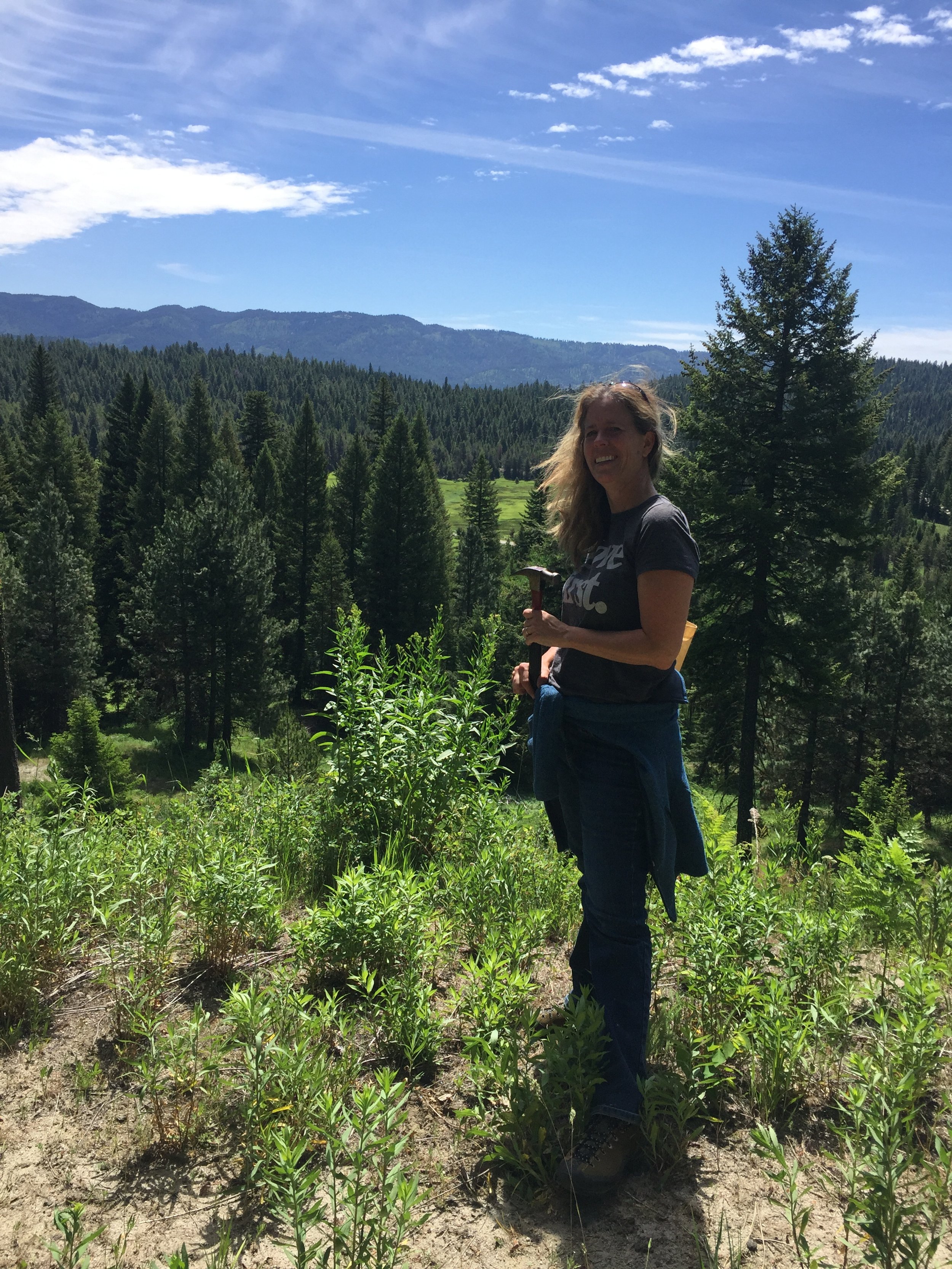 Private Intensive with Forest Bathing