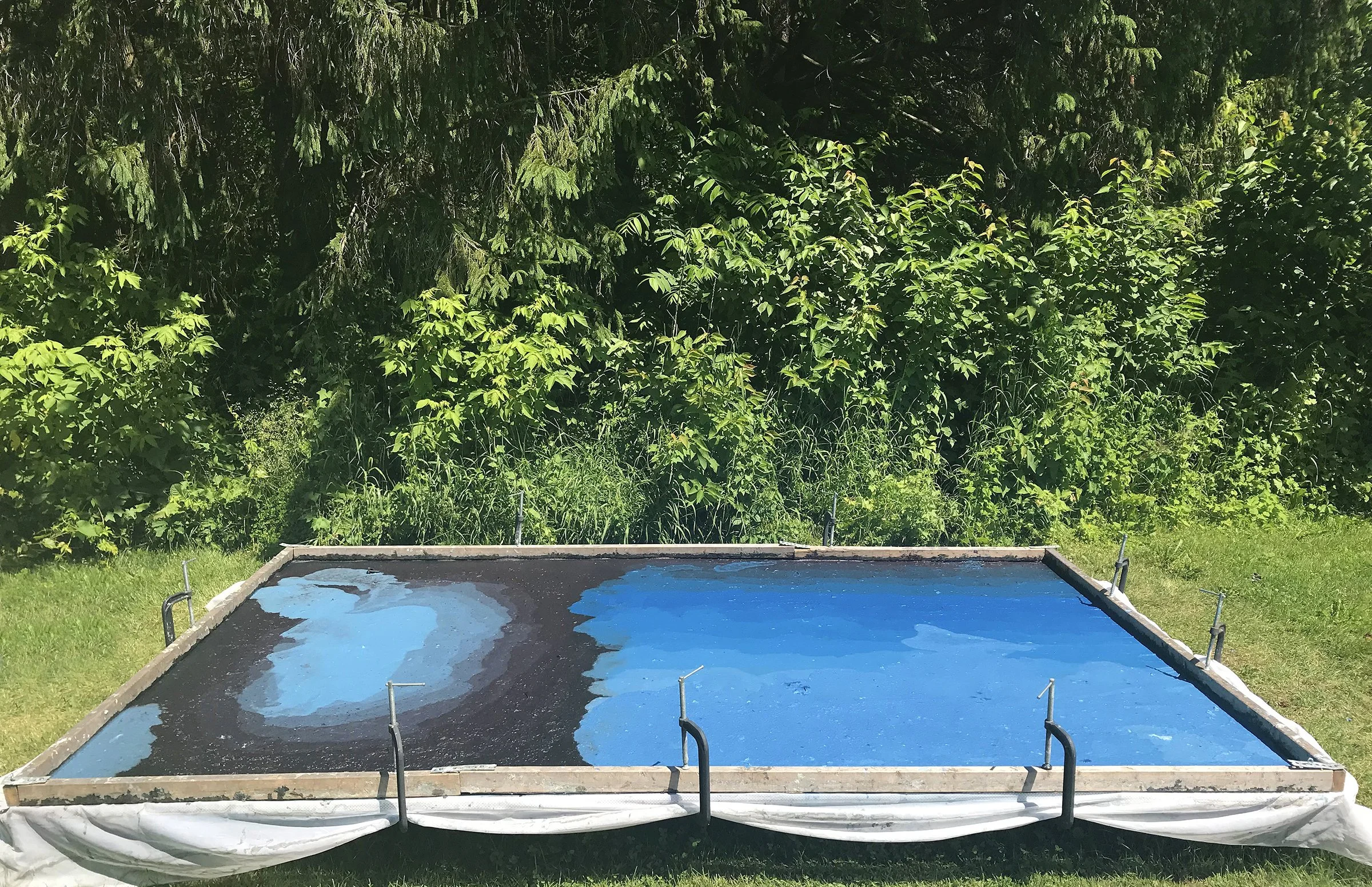 Hong_2 - Hong Hong.jpg