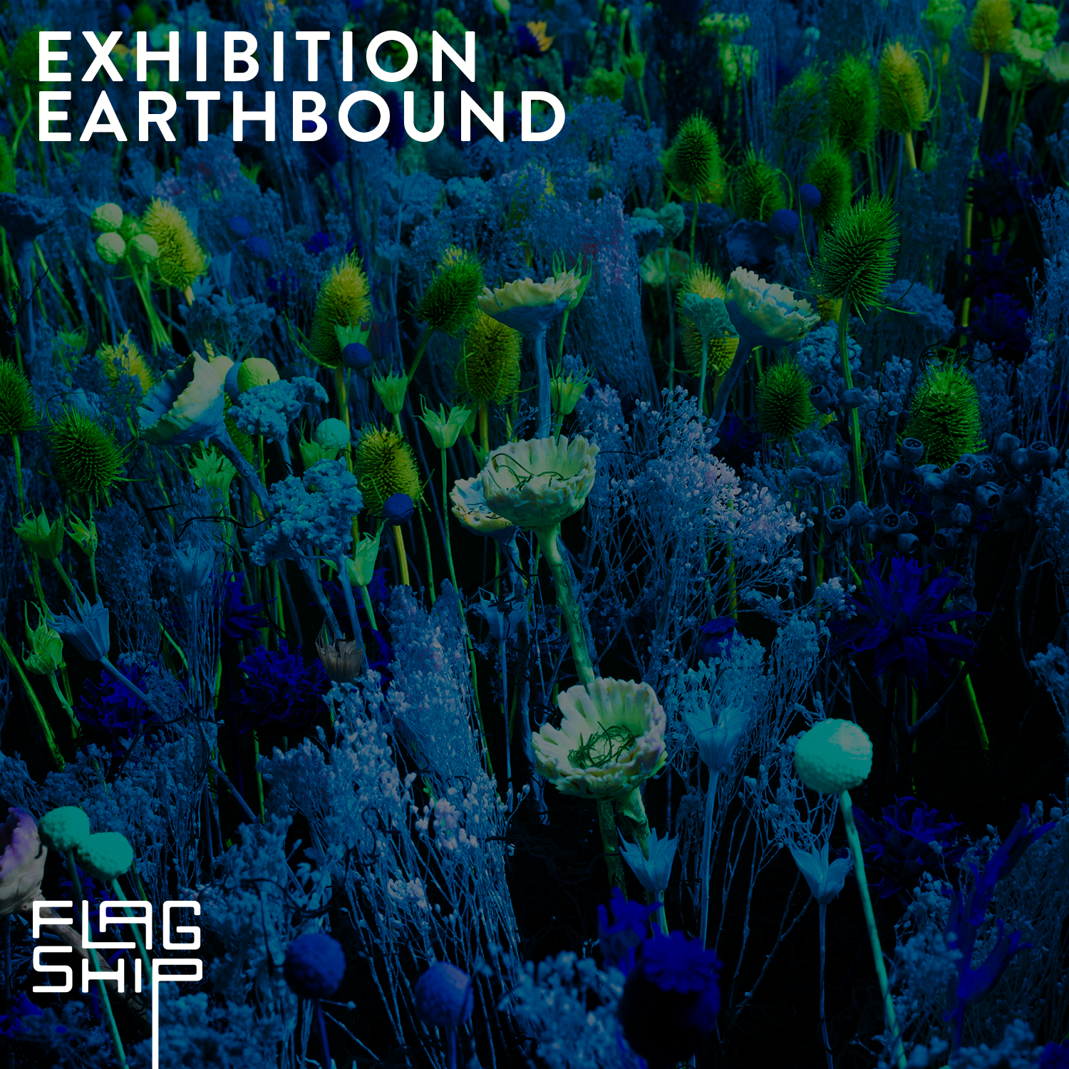 EXHIBITION | EARTHBOUND