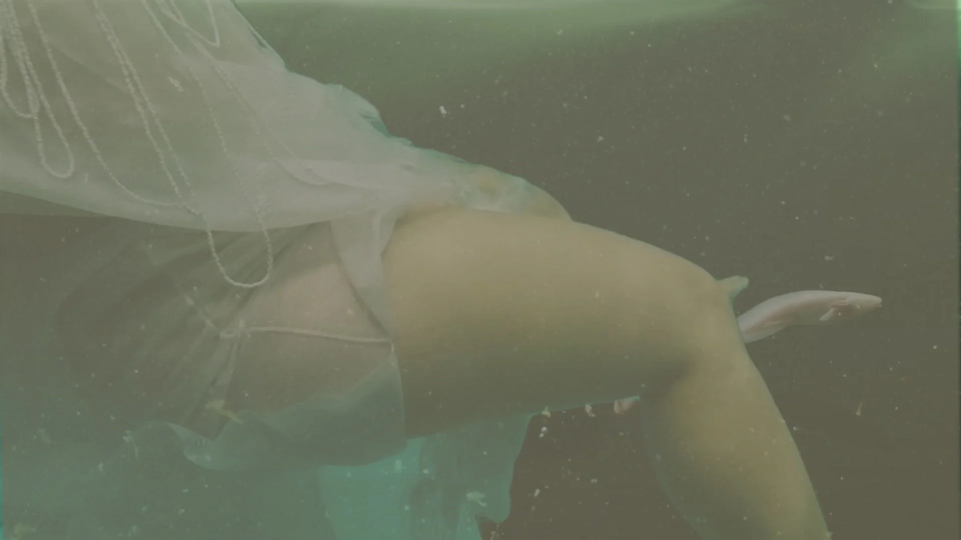 Cihuamichi, Alicia Smith.jpg