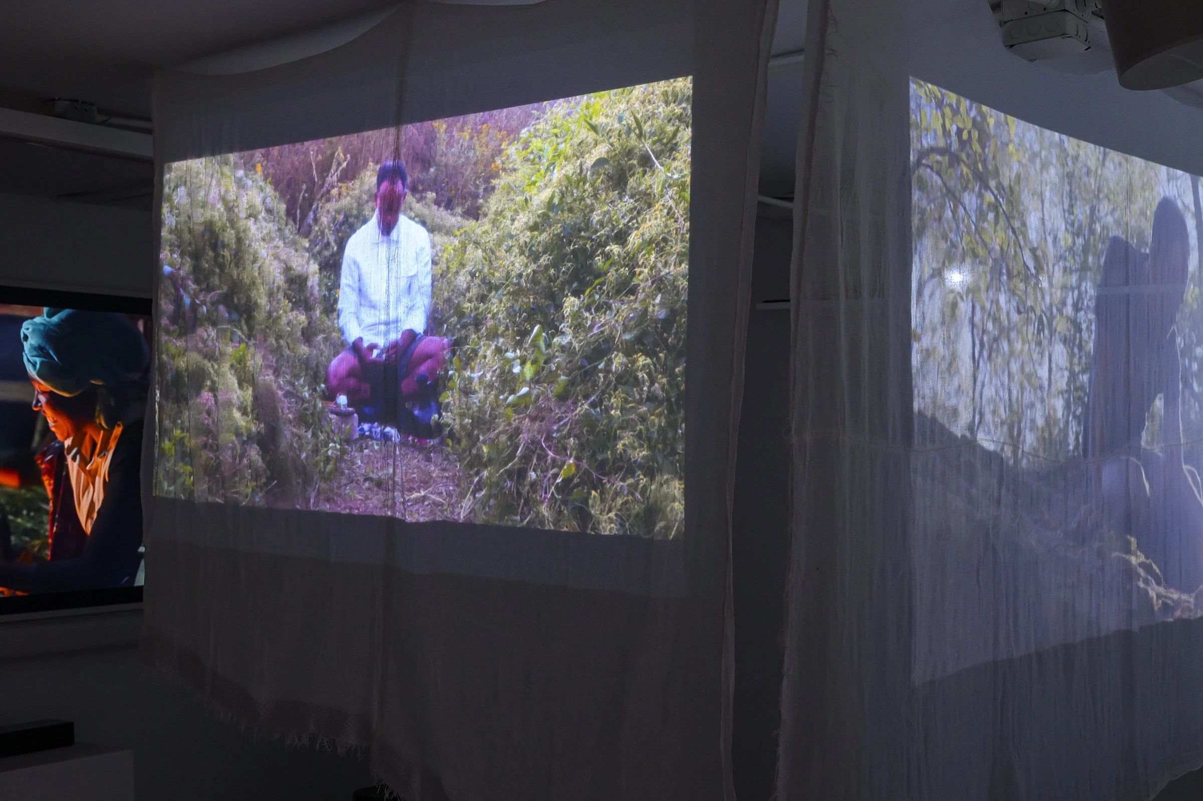 <br/a> <br/a> IMPERMANENT PRESENCE