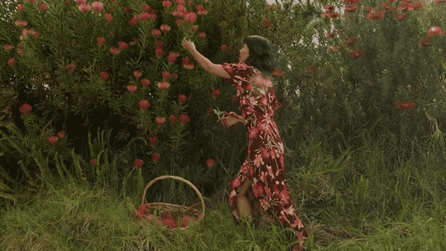undefined-low.gif