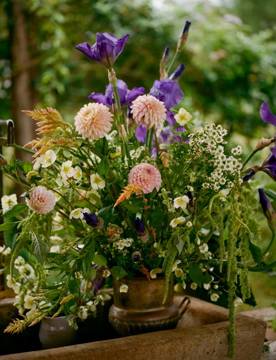 daeja_Fallas_conversations_With_flowers_web-000908180001.jpg