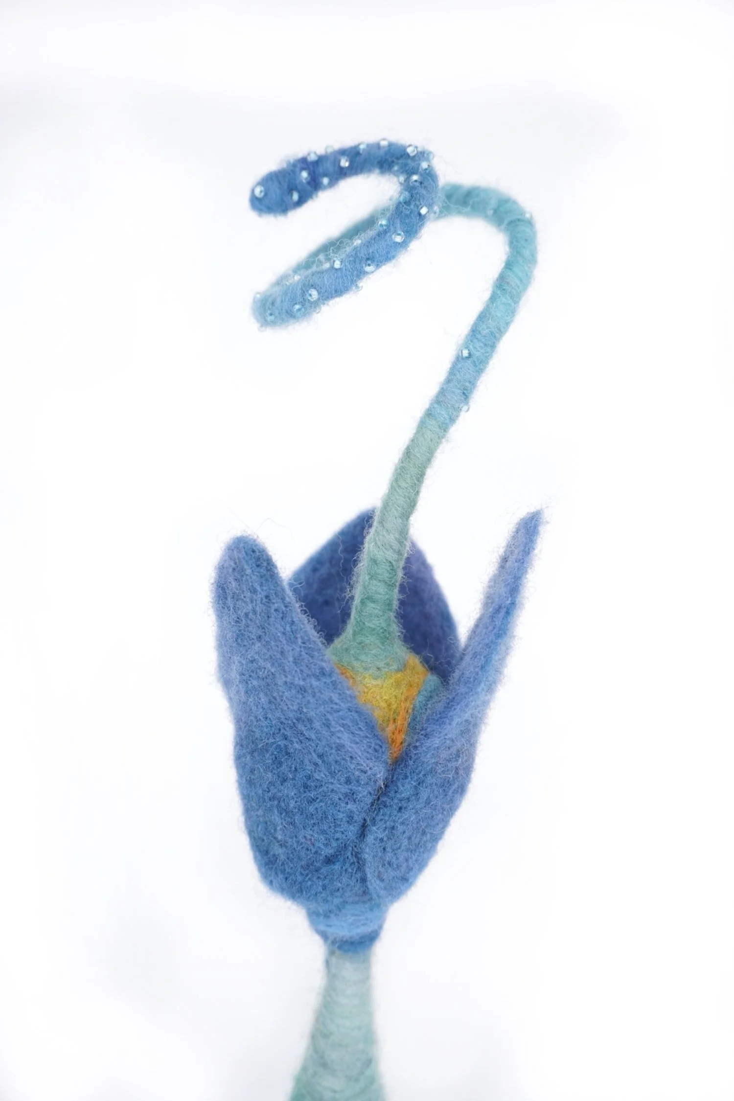 Frieda - Detail
Hand-dyed wool, wire
15" x 6.5" x 6.75"
2019