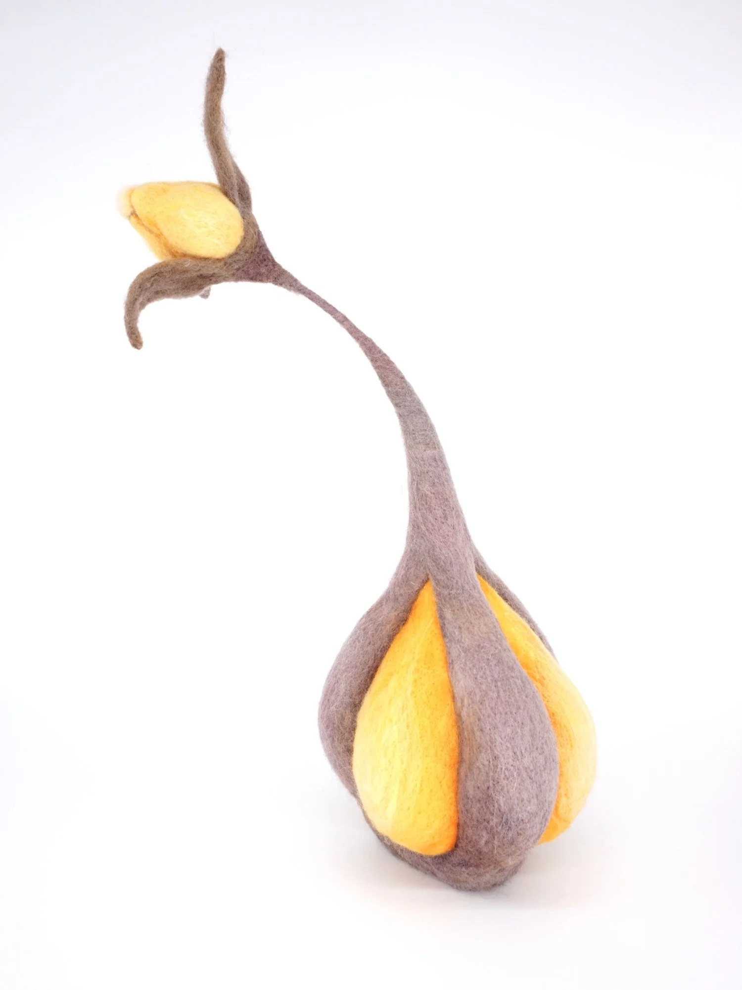 Mina
Hand-dyed wool, wire
16” x 10” x 6”
2019