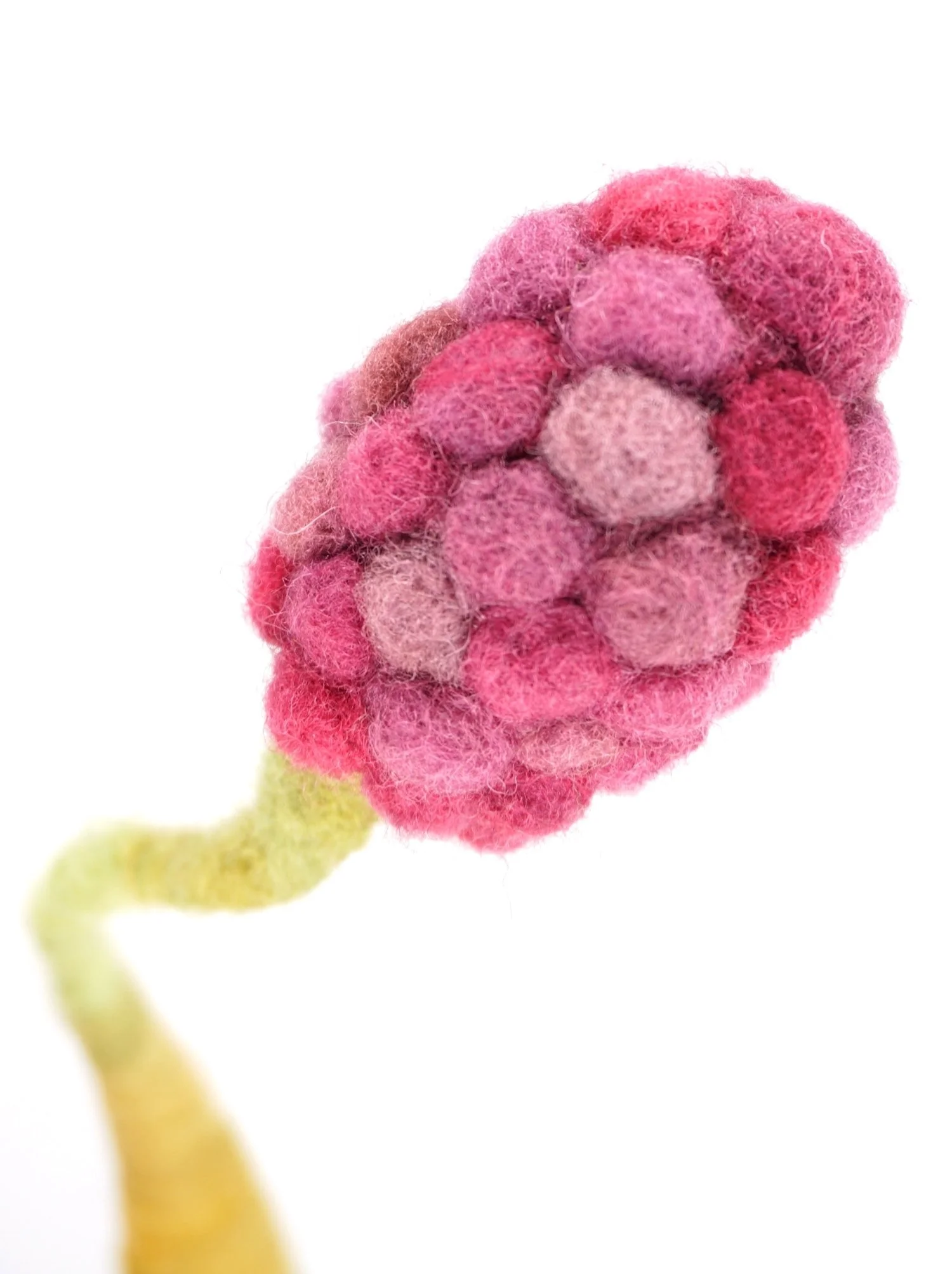 Lola - Detail
Hand-dyed wool, wire
14.5" x 5.25" x 5.25"
2019