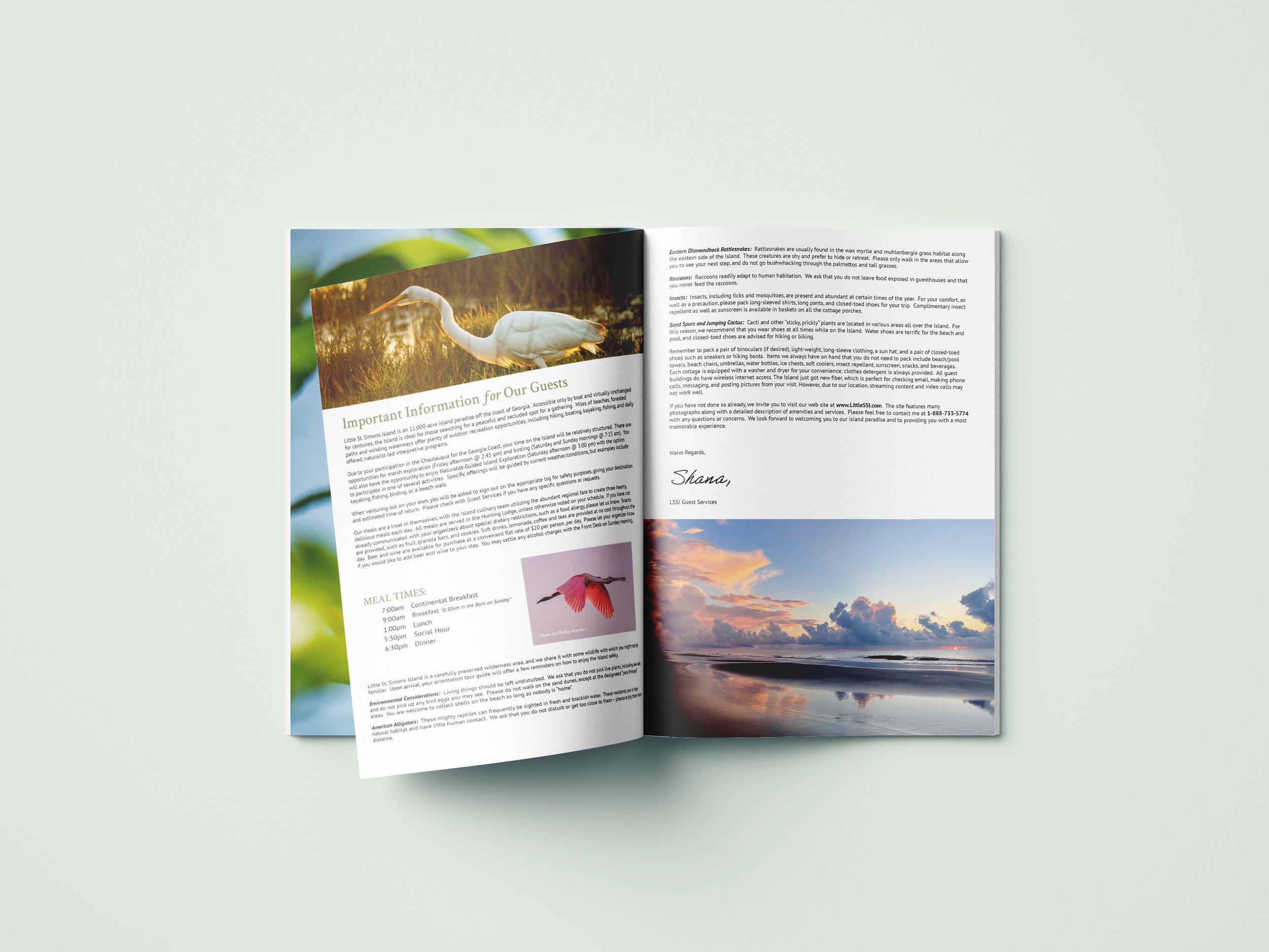 Open travel brochure featuring a white heron standing in a marsh, a pink flamingo in flight, and a sunset over the beach with clouds and water reflections.