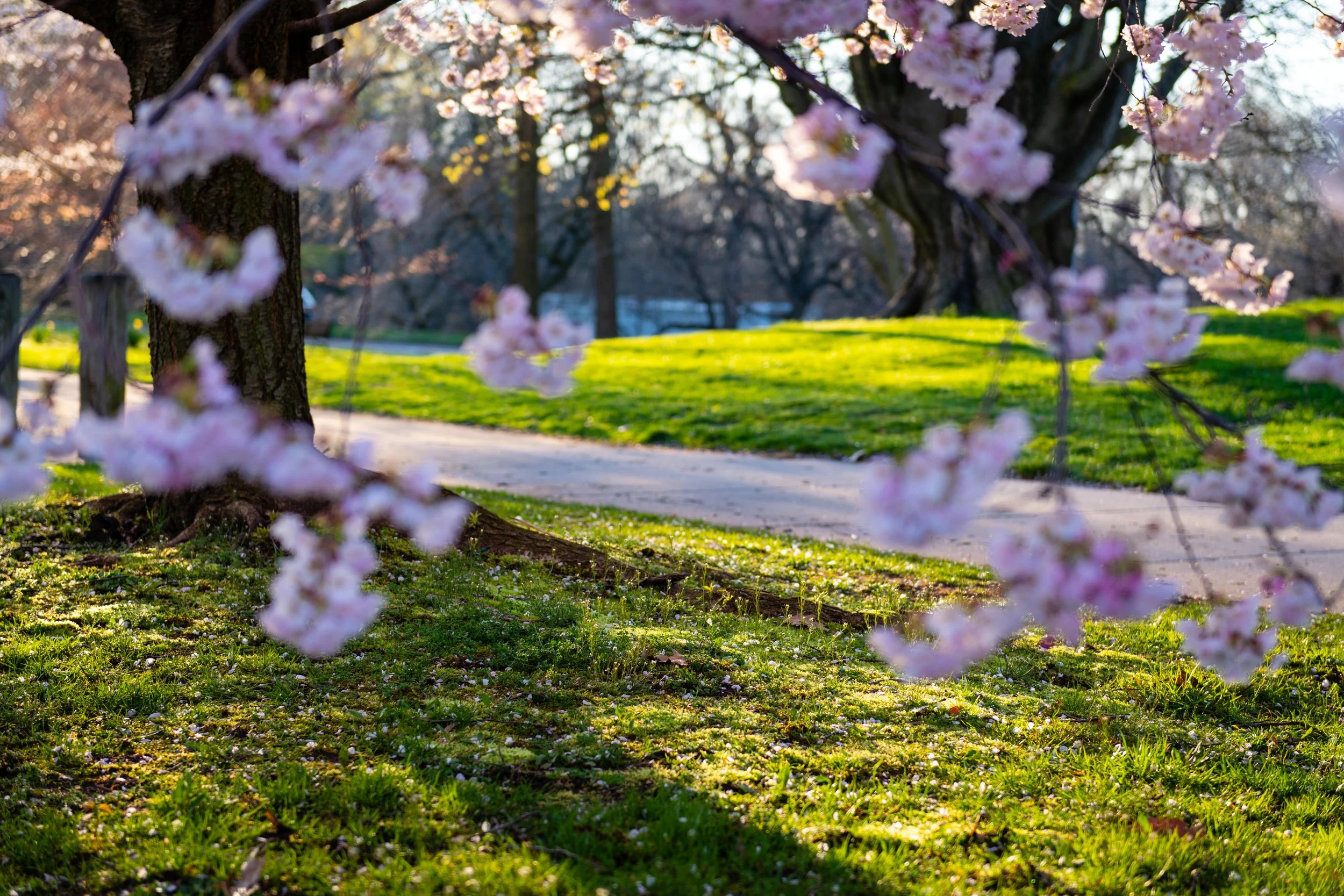 Anxiety and Photography