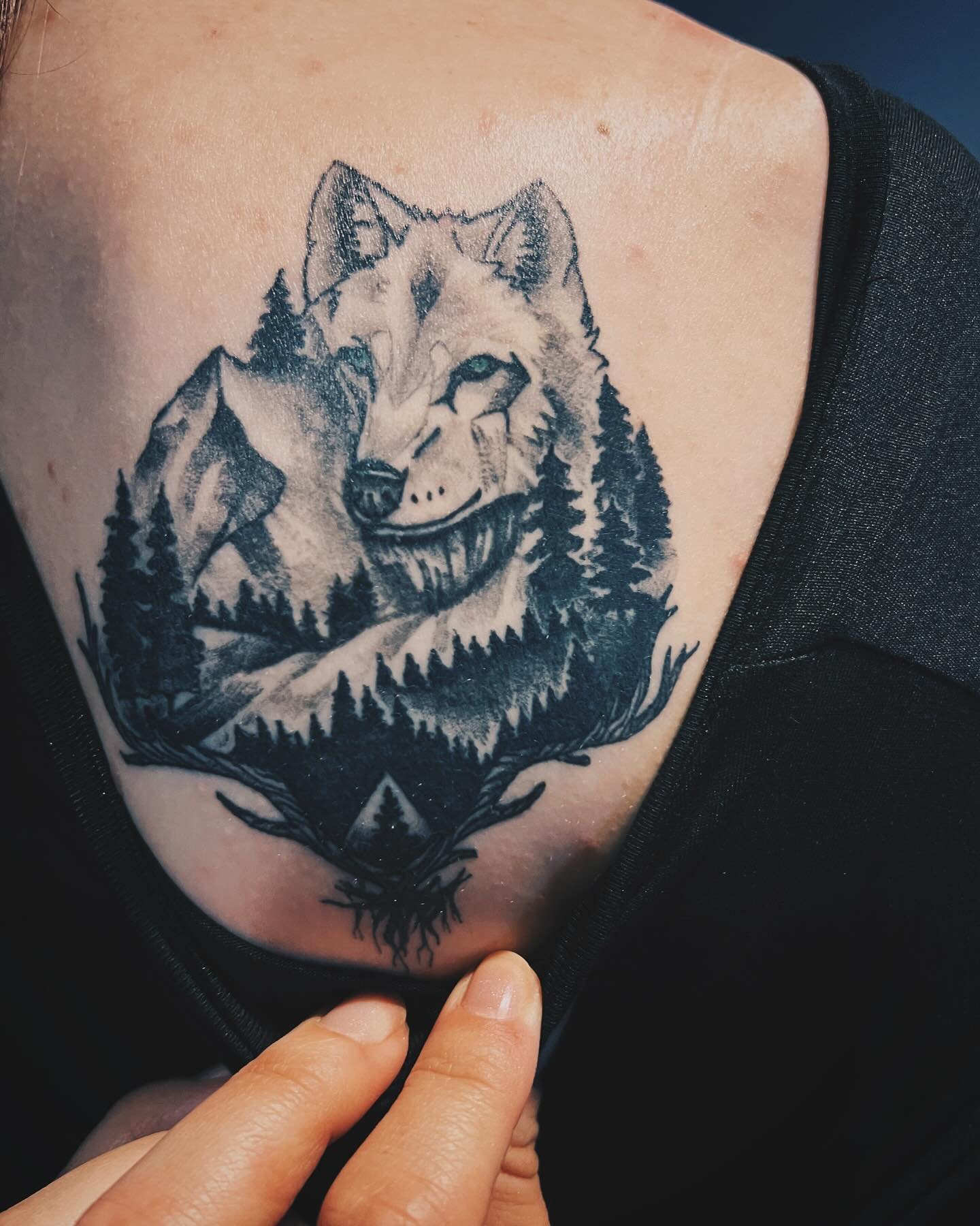 I also got to see this one healed a couple days ago. It&rsquo;s pretty cool seeing the gray wash all healed and how it&rsquo;s softened and lightened and contrasts with the solid black. 🖤🐺⛰️
.
#learning #growing #ilovelearning #tattooapprentice #he