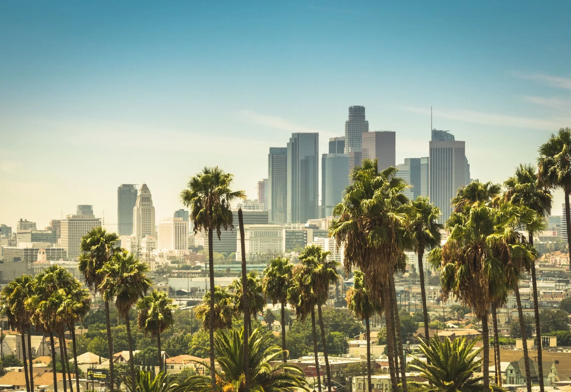 Downtown Los Angeles skyline with palm trees in the foreground.