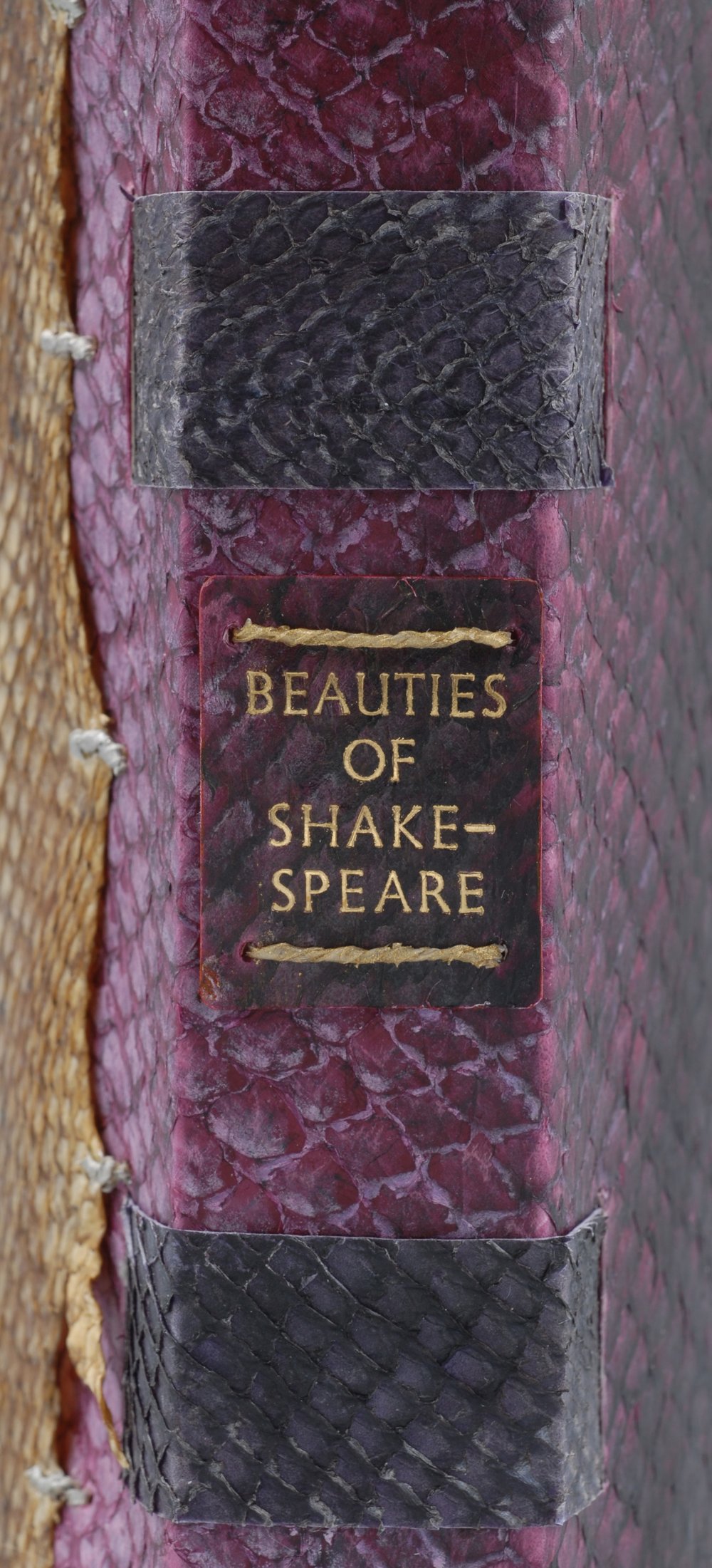The Beauties Of Shakespeare — Karen Hanmer Book Arts