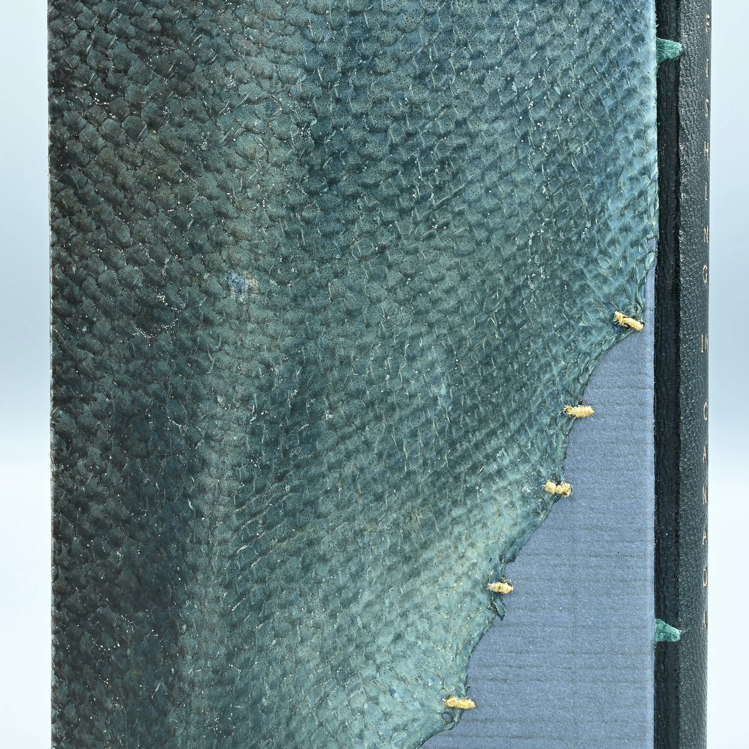 Hanmer_FishingInCanada_2.jpg