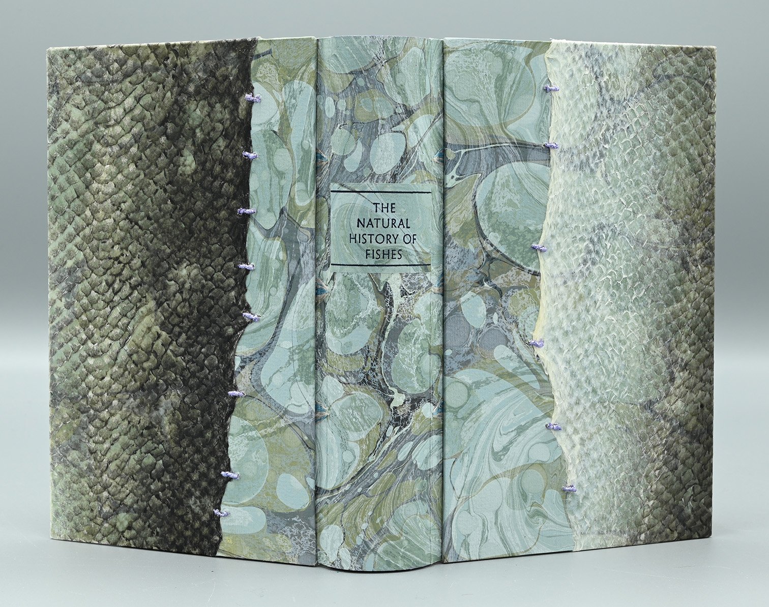 Hanmer_Nat_Hist_marbled-150dpi.jpg
