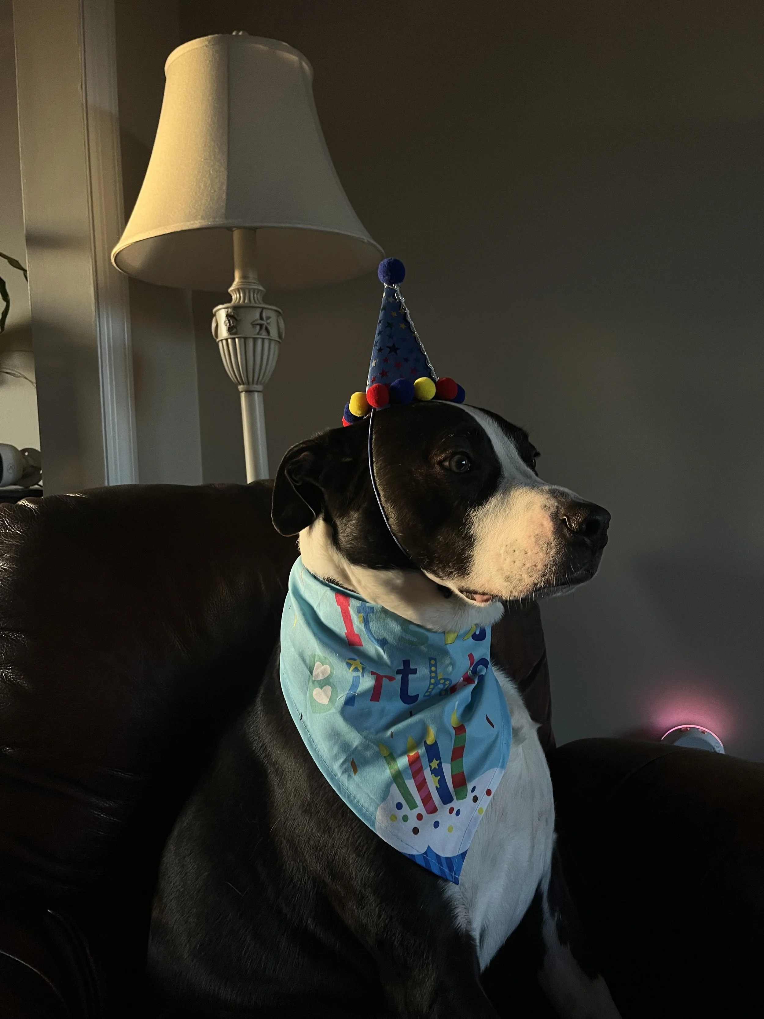 IMG_8403.jpeg