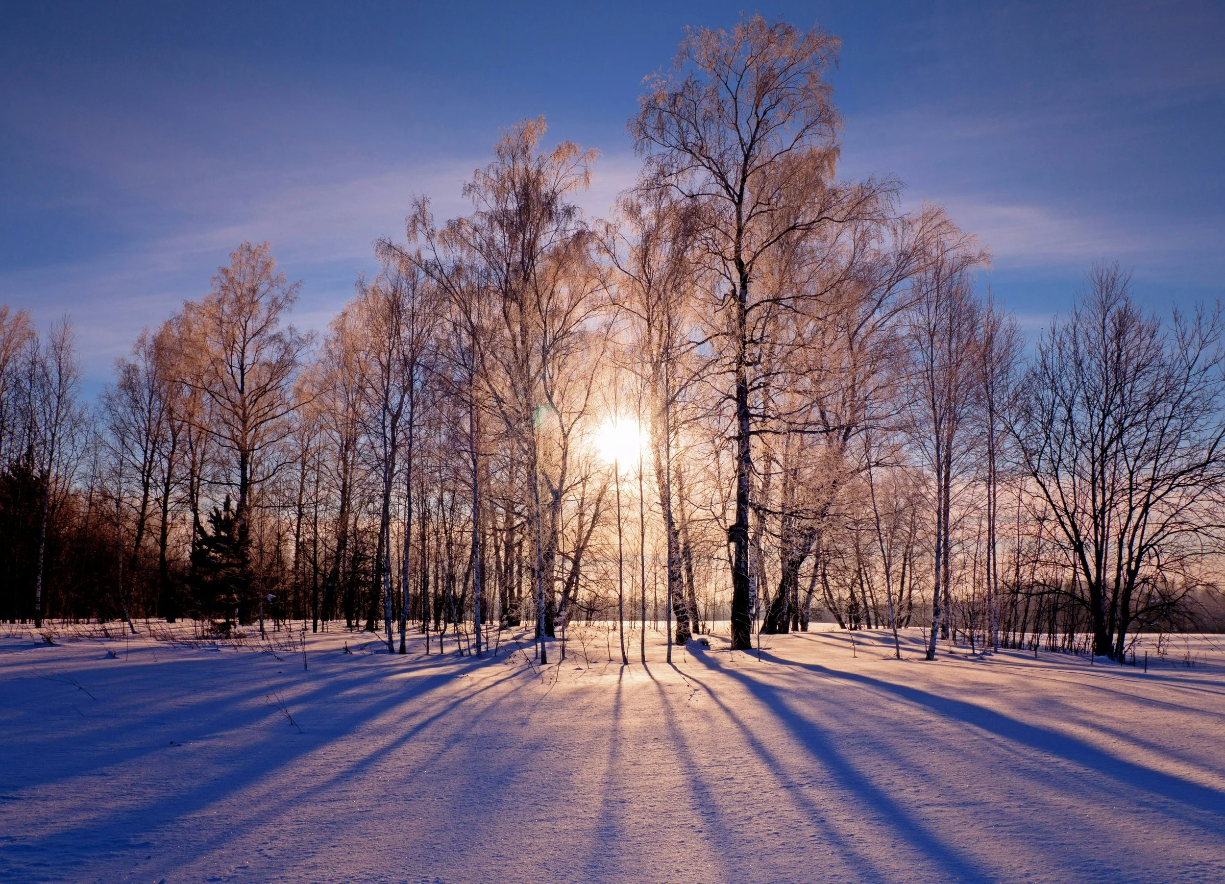 Vitamin D and Hormones