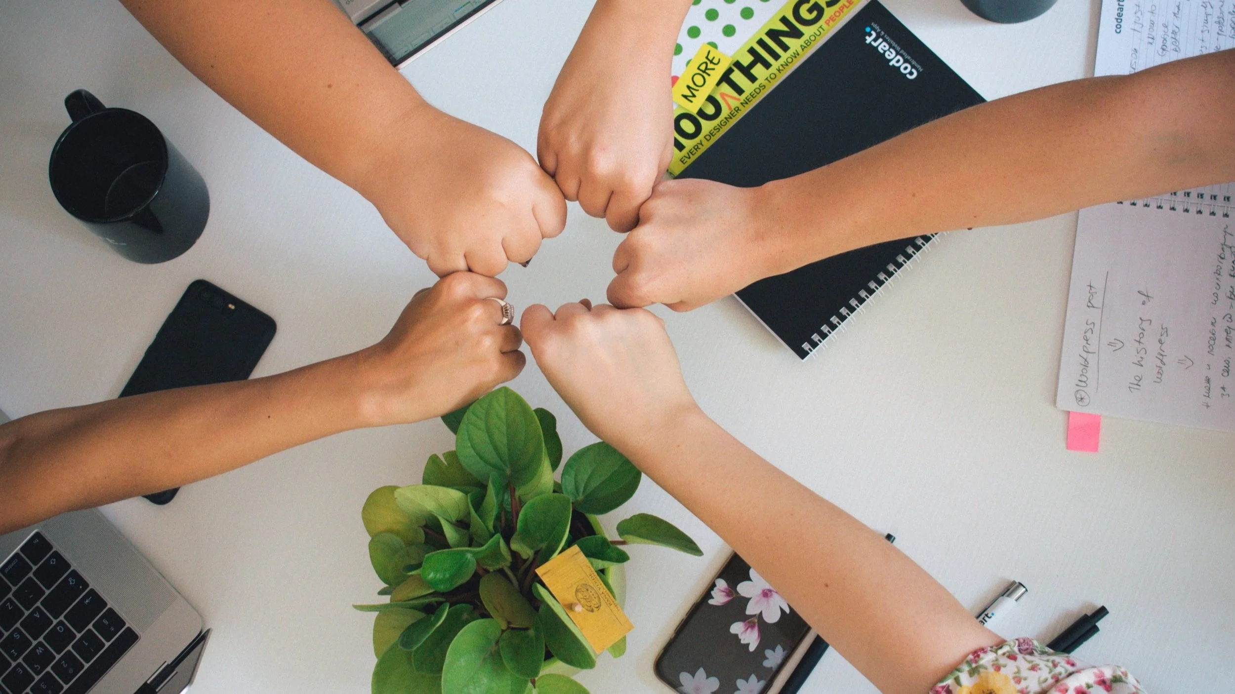 Photo Credit: Janesky on Unsplash