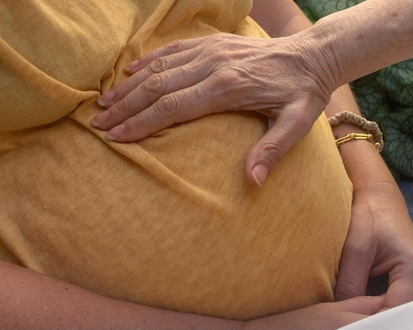 3 generations, 3 years of Numa