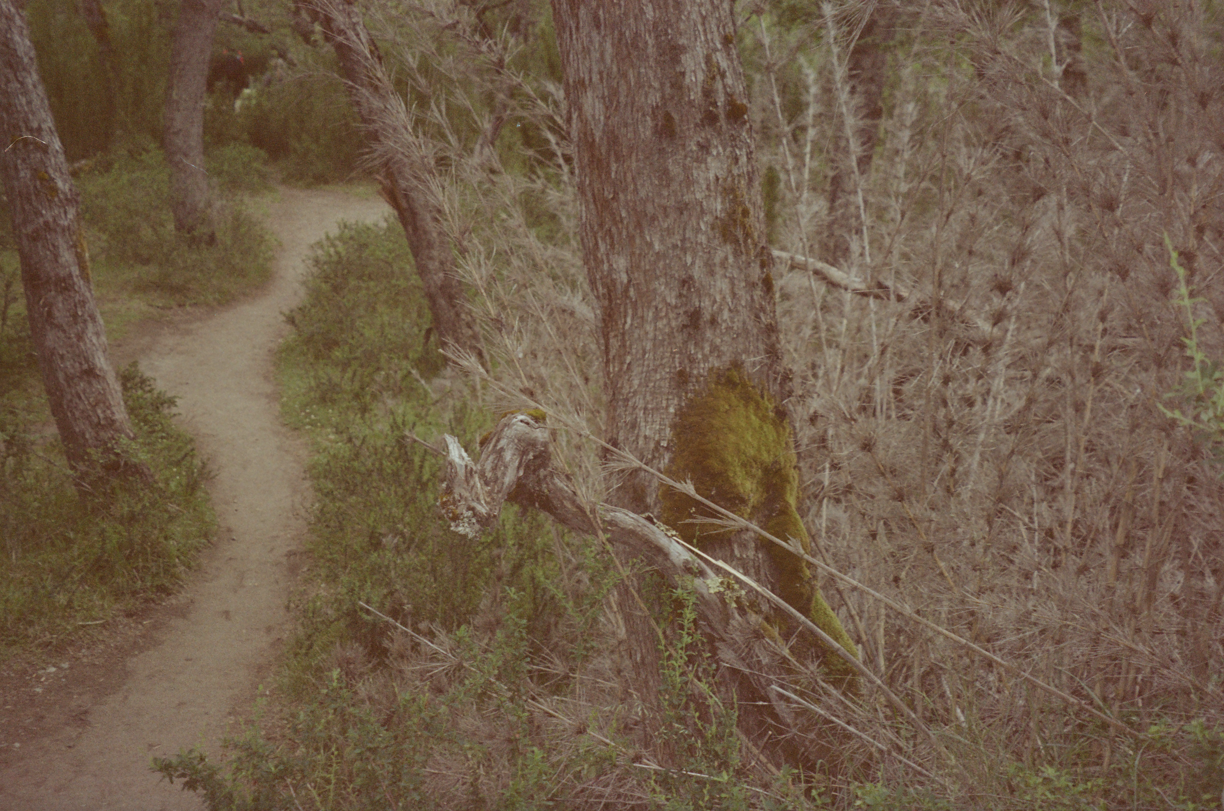 Screenshot 2024-10-21 at 1.34.20 AM.png