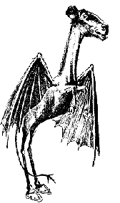 JD2a.gif
