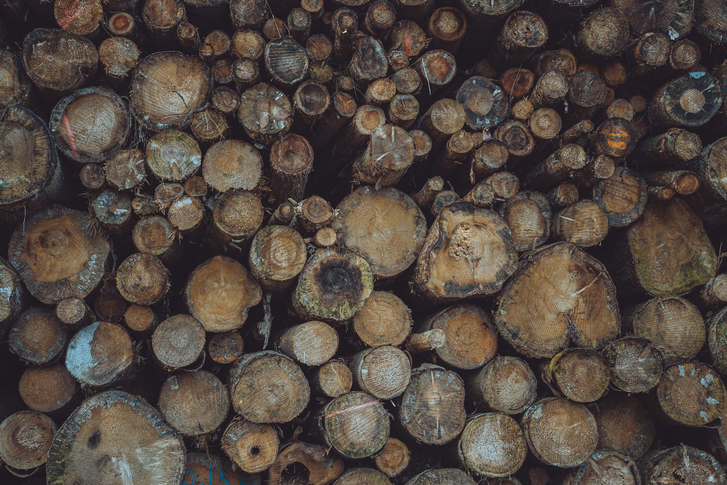 even in the wood pile by dara laine after happy hour review