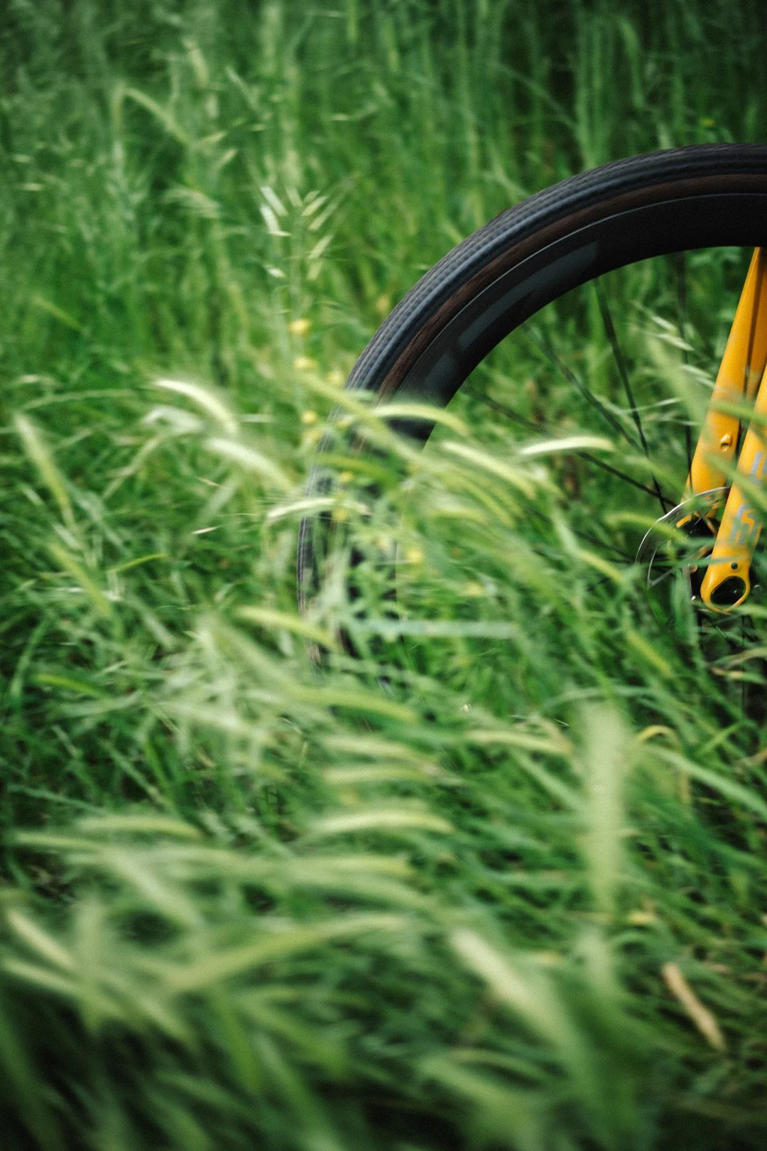 DSC02222 HD Social + Grain.JPG