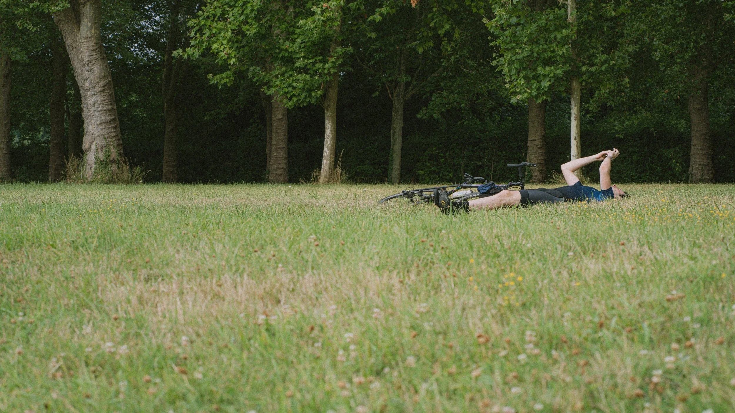 DSC09950 - copie.jpg