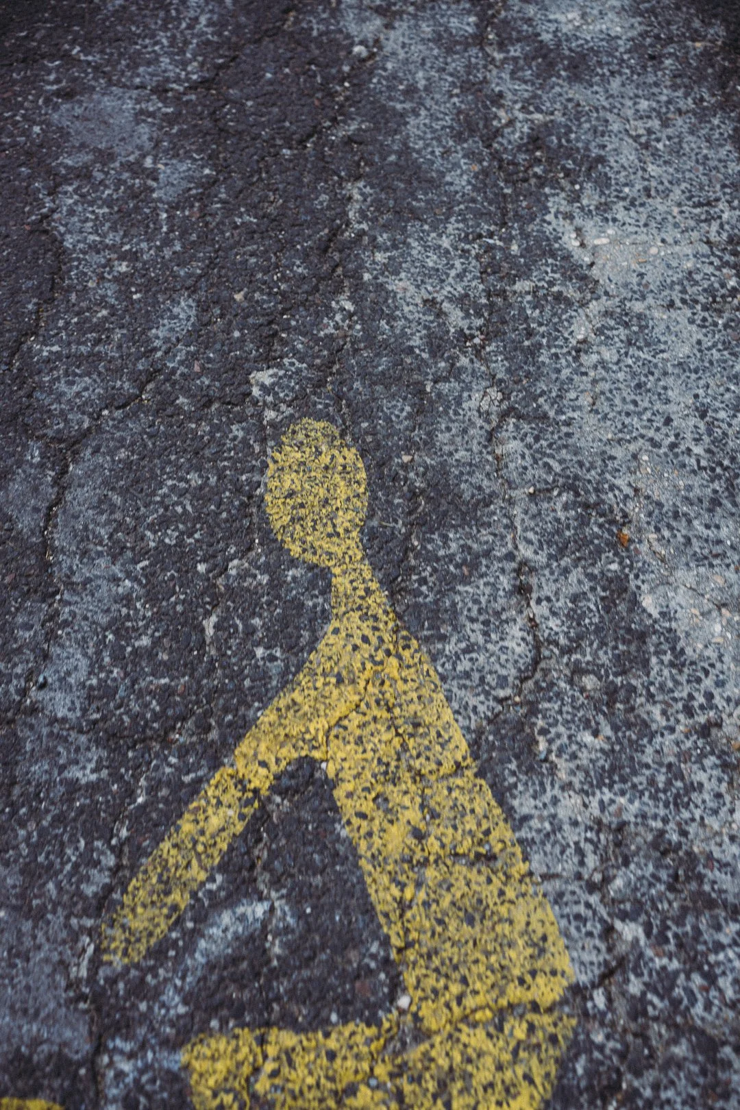 DSC00843 HD Social + Grain.JPG