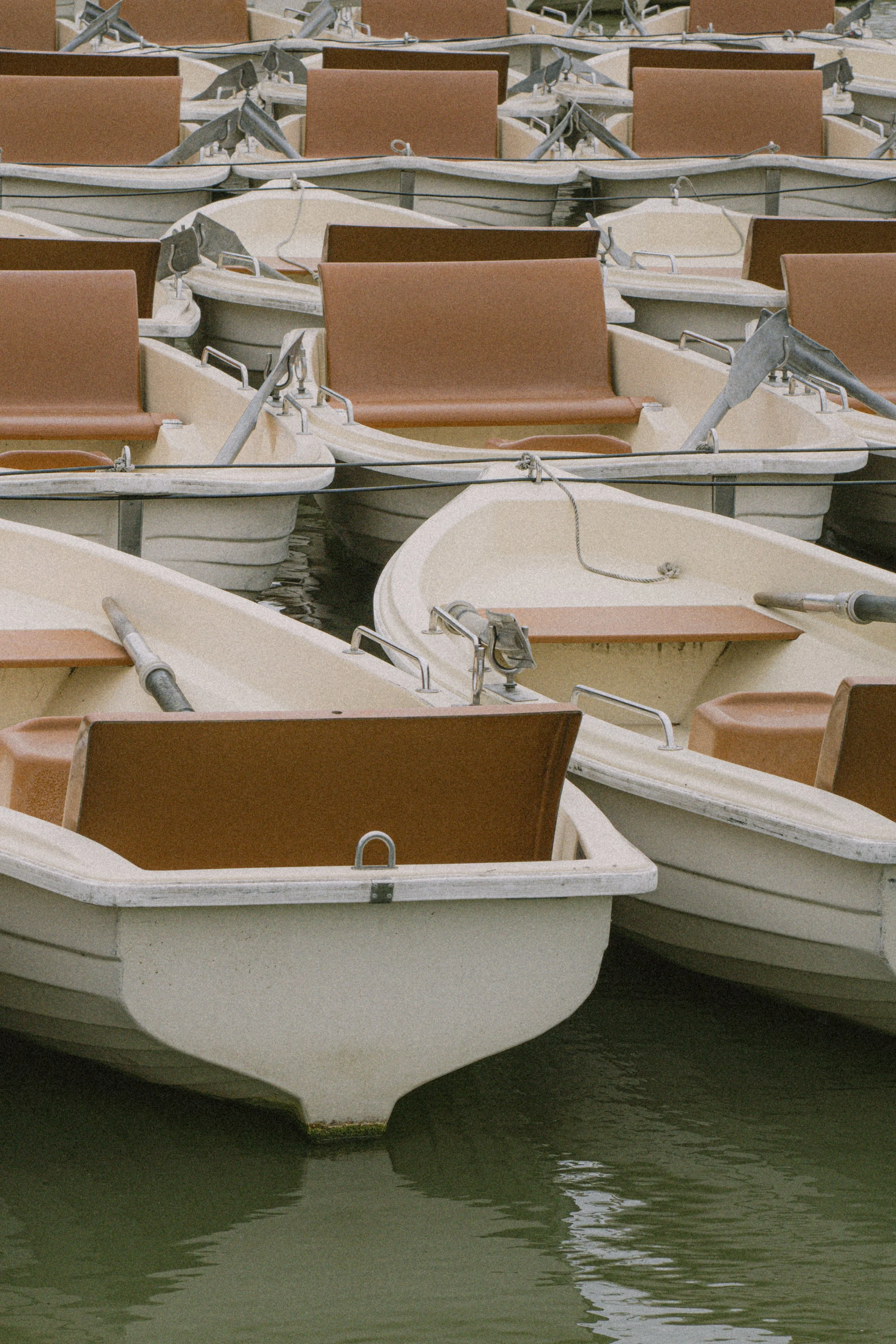 DSC00032 - copie.jpg