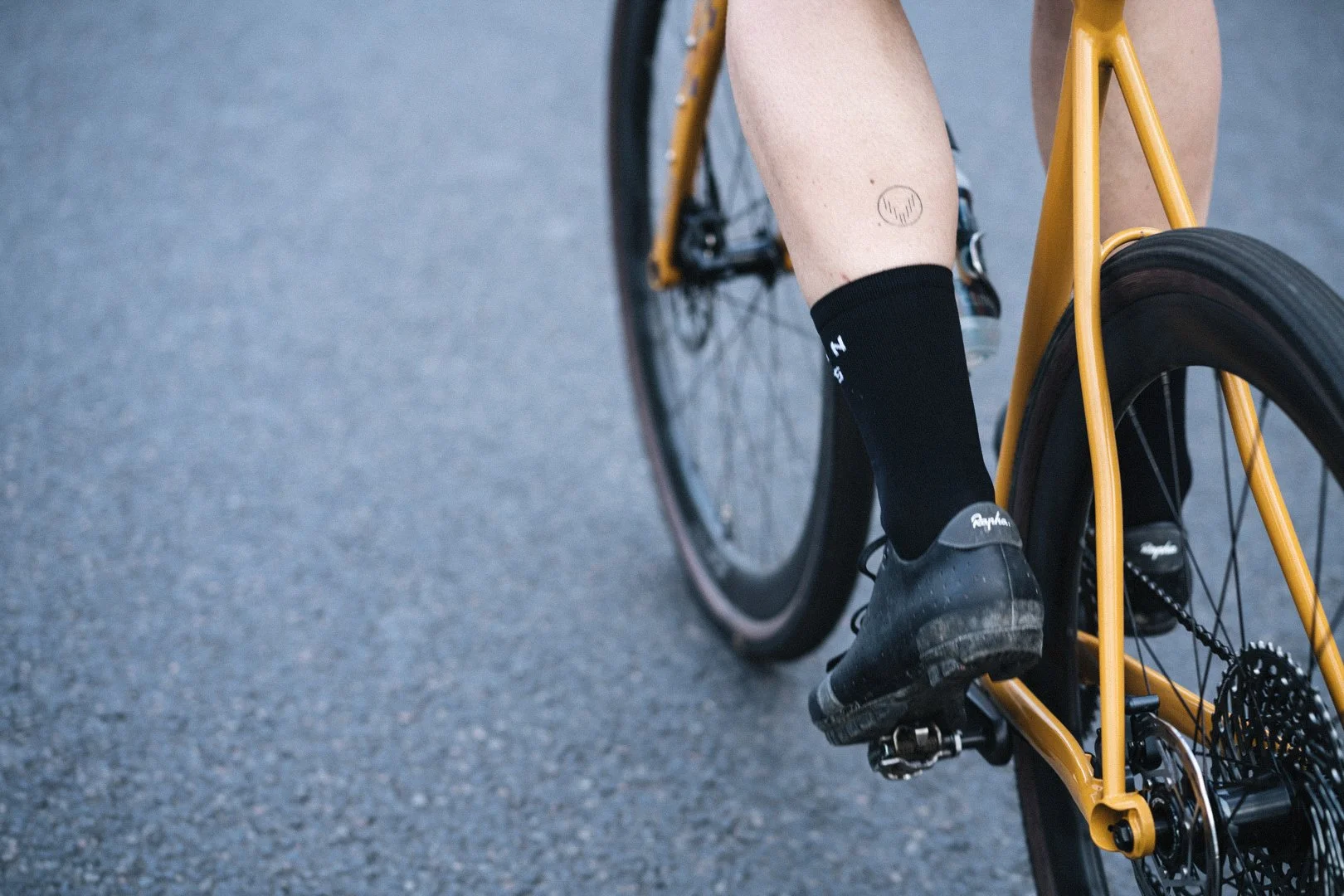 DSC02573 HD Social + Grain.JPG