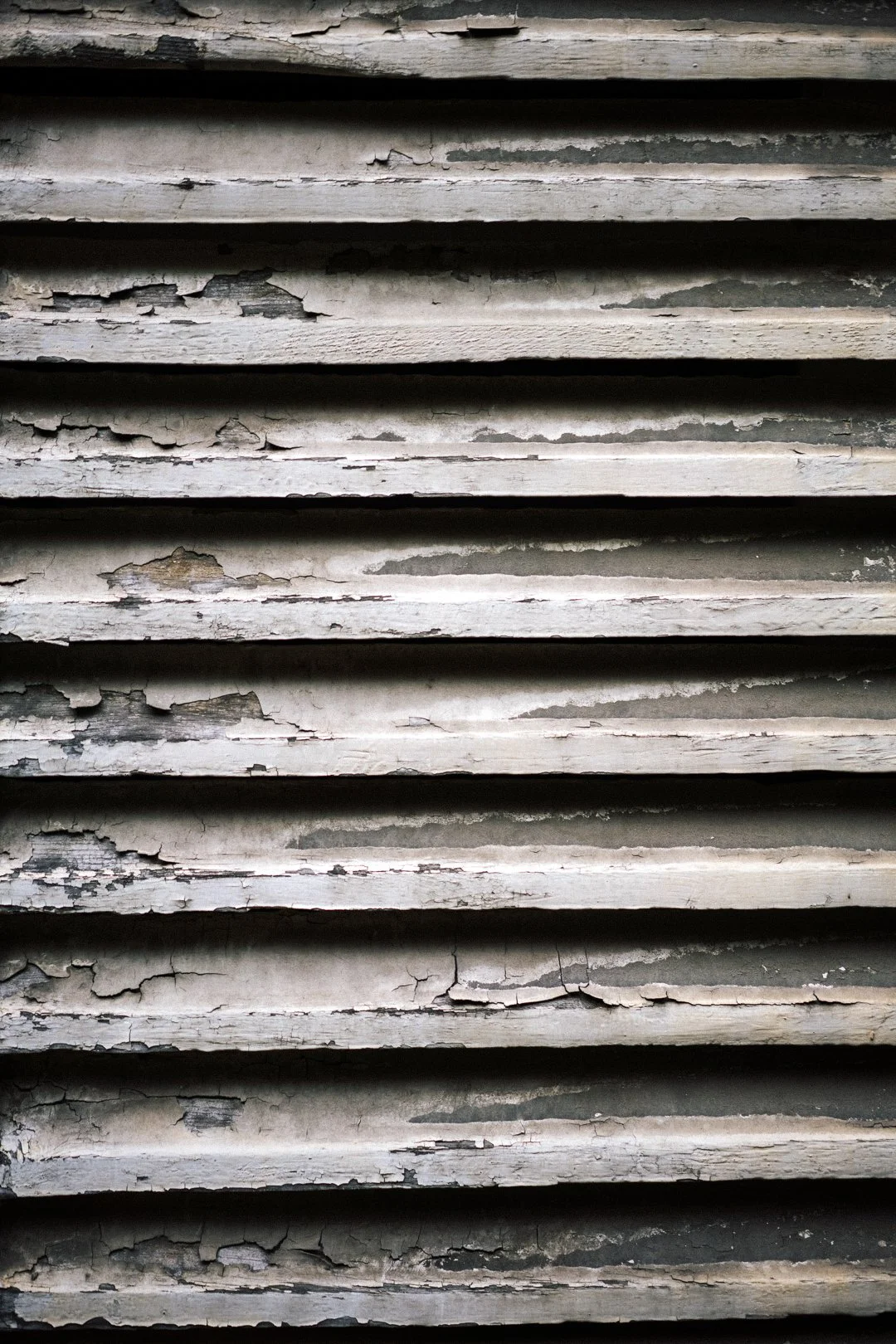 DSC01025 HD Social + Grain.JPG