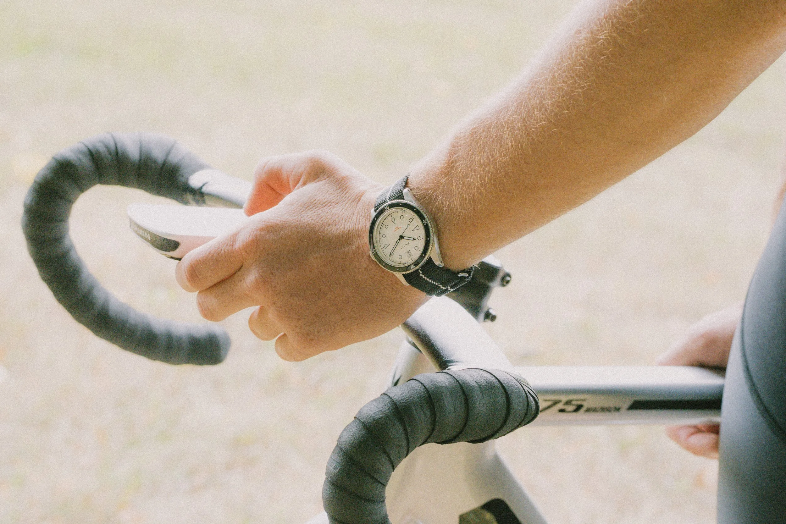 DSC00454 - copie.jpg