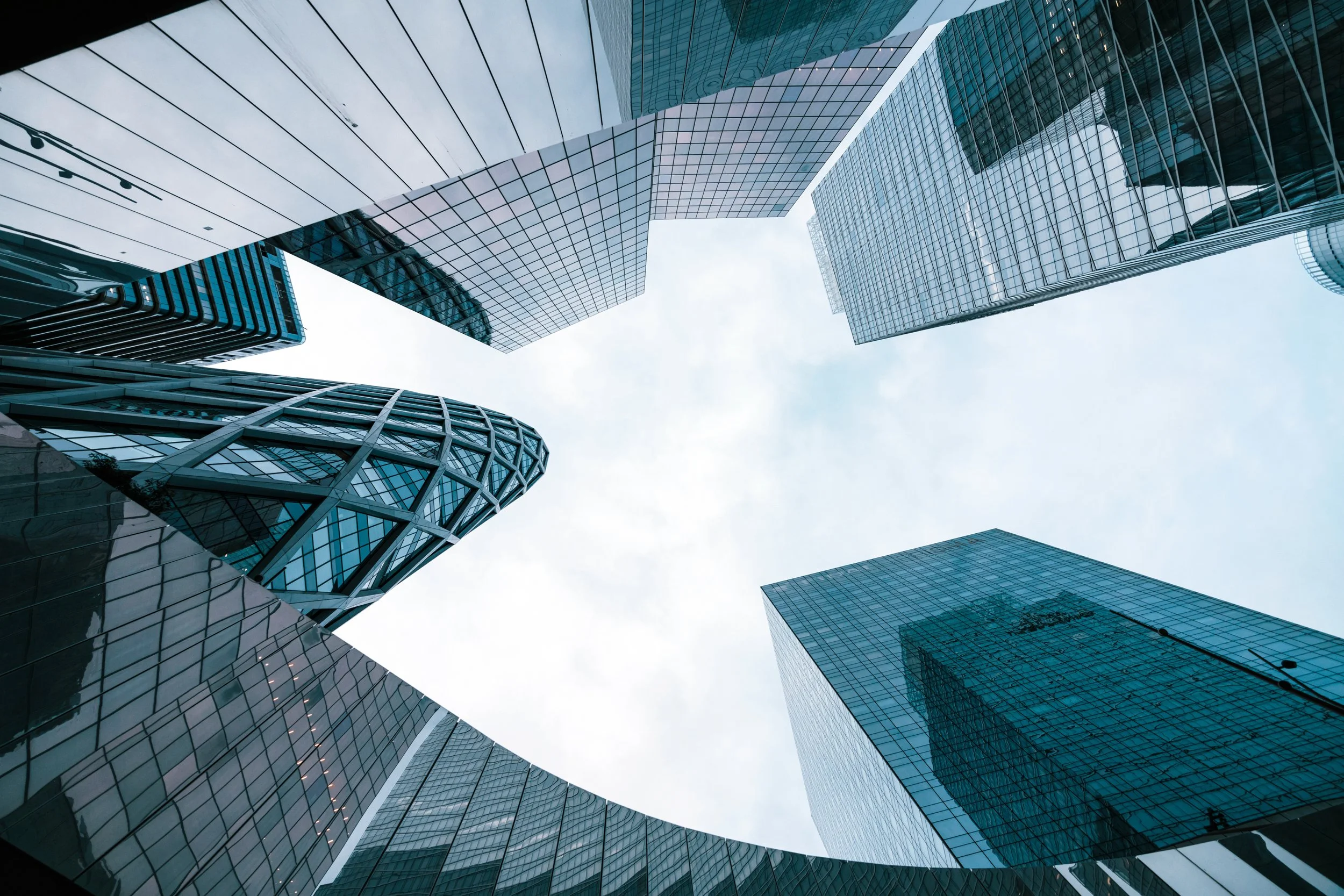 DSC05262 - copie.jpg