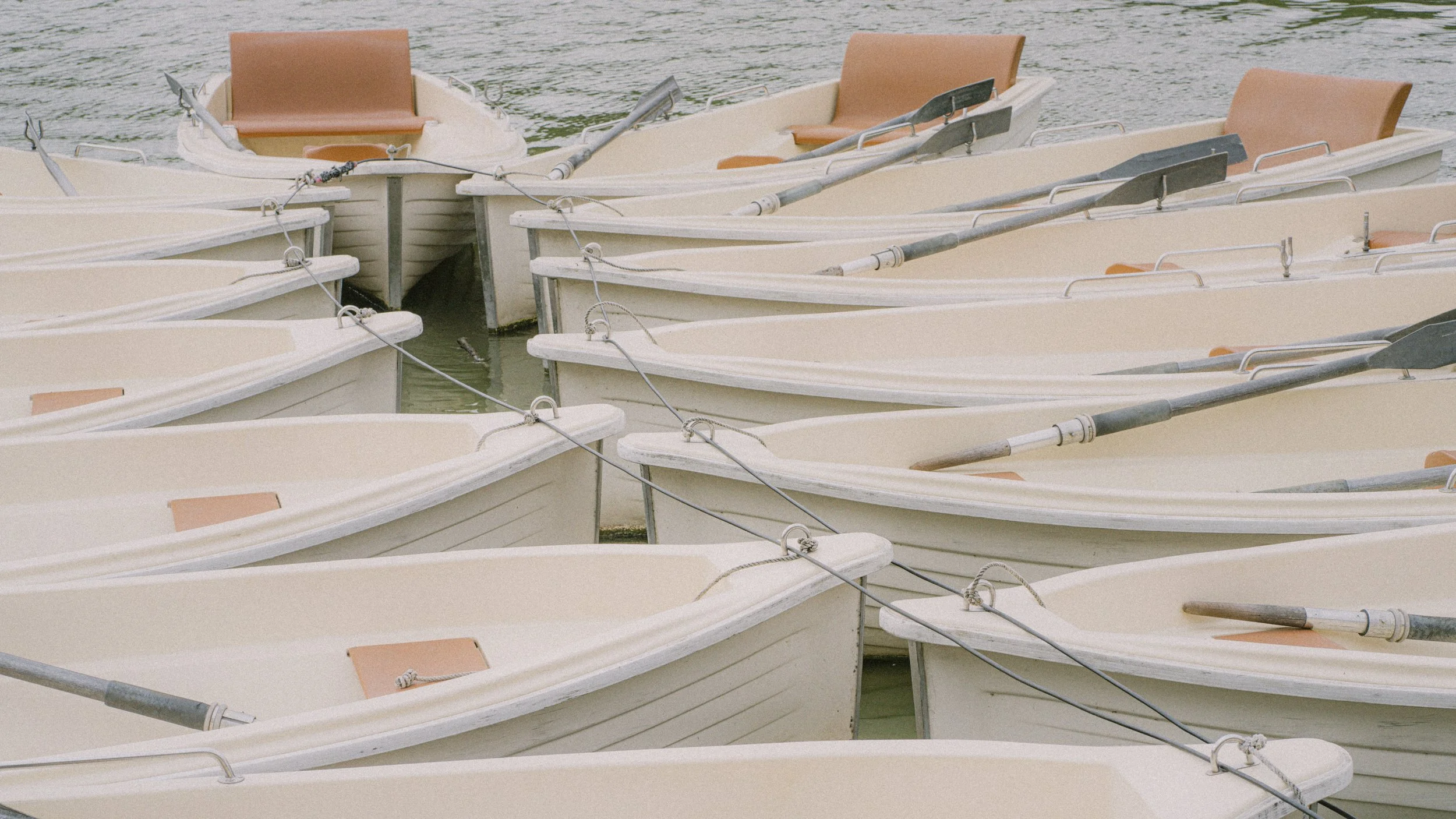 DSC00016 - copie.jpg