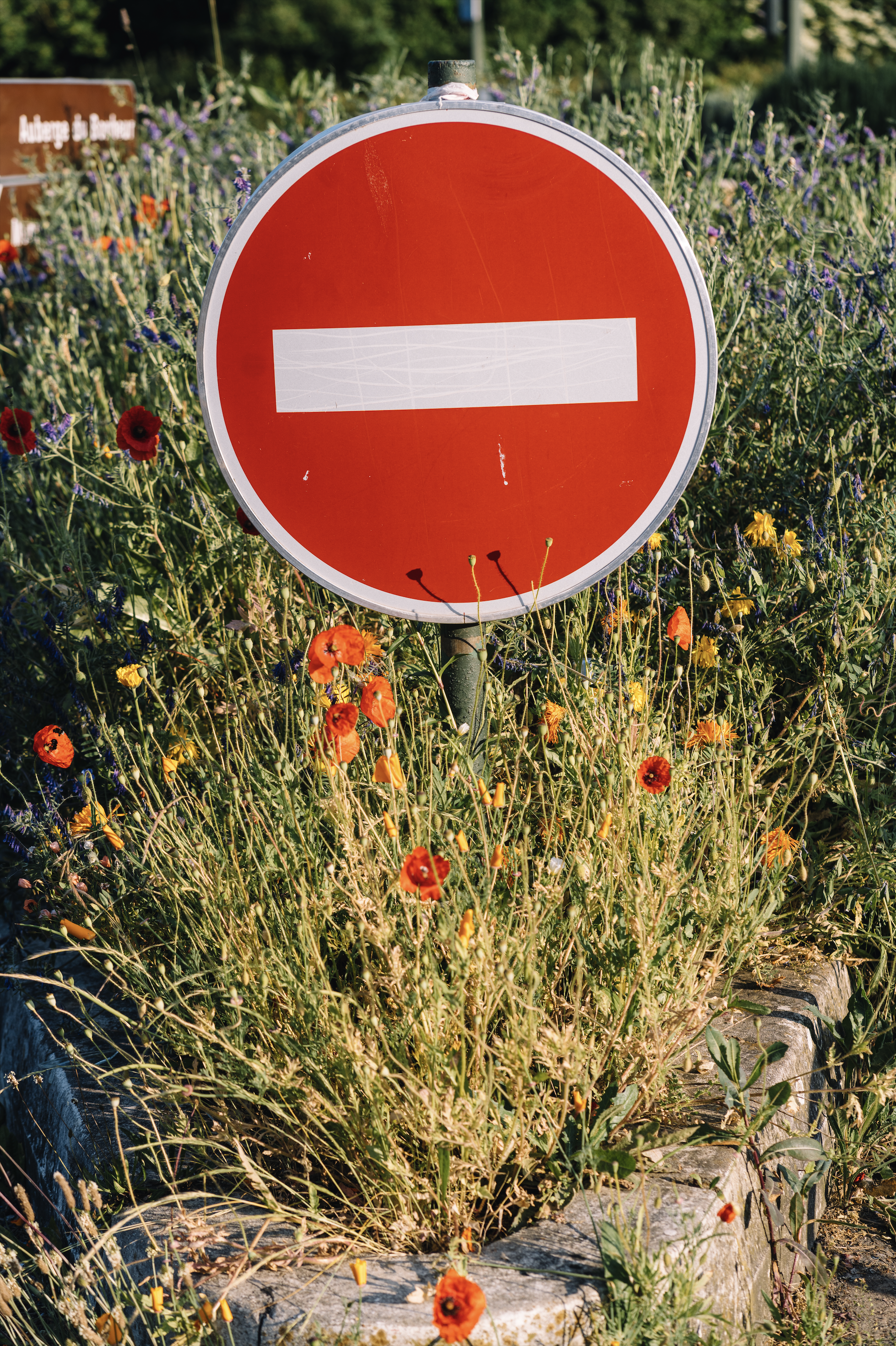 Capture d’écran 2023-06-05 à 10.57.05.png