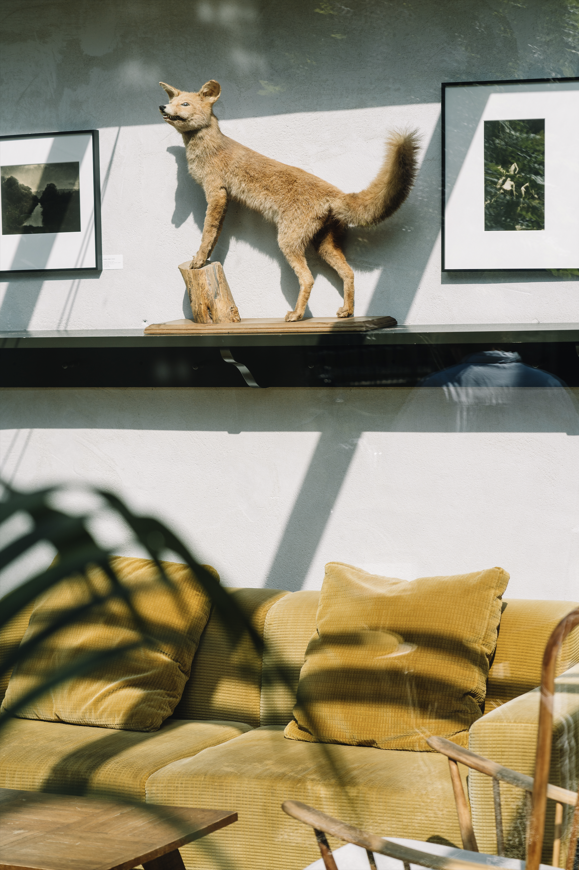 Capture d’écran 2023-06-05 à 10.40.21.png