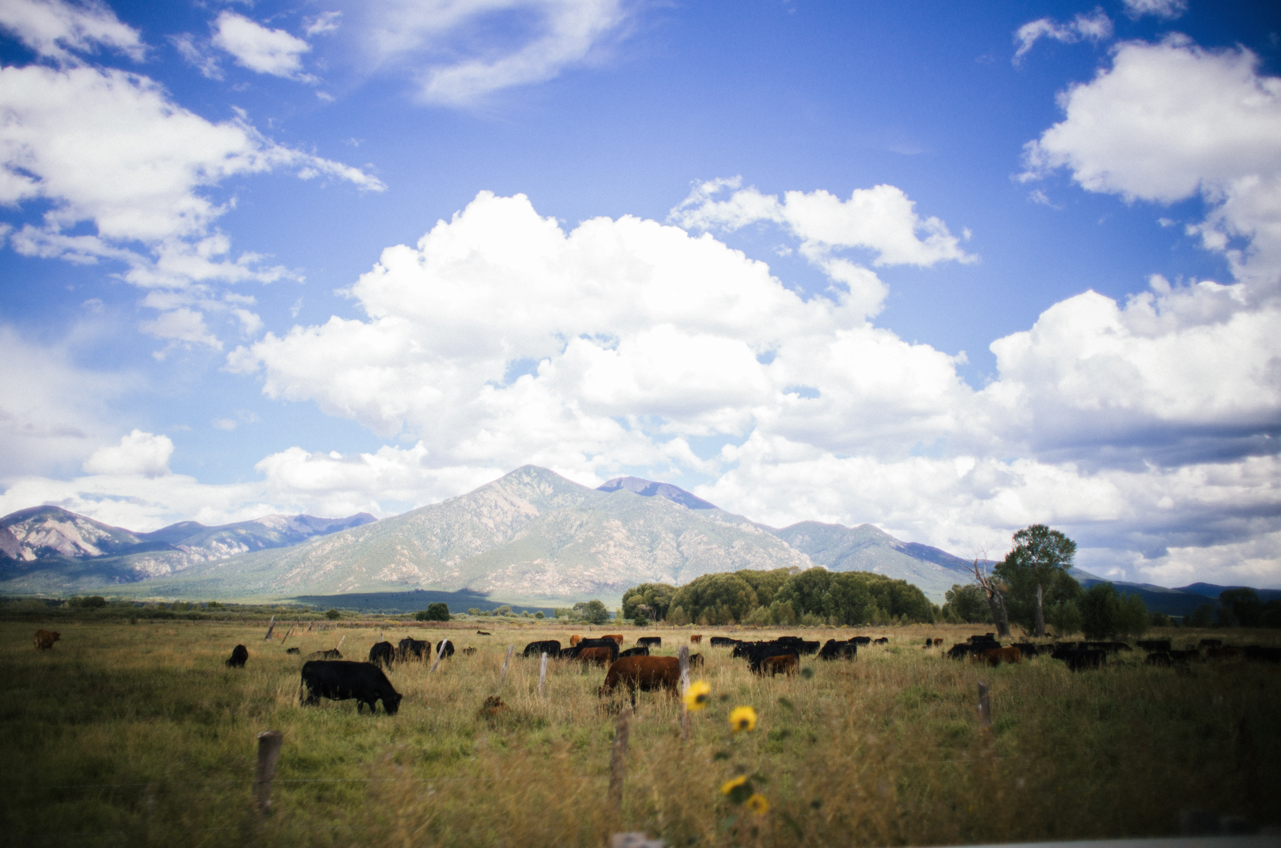 Screen Shot 2018-02-26 at 2.09.41 PM.png