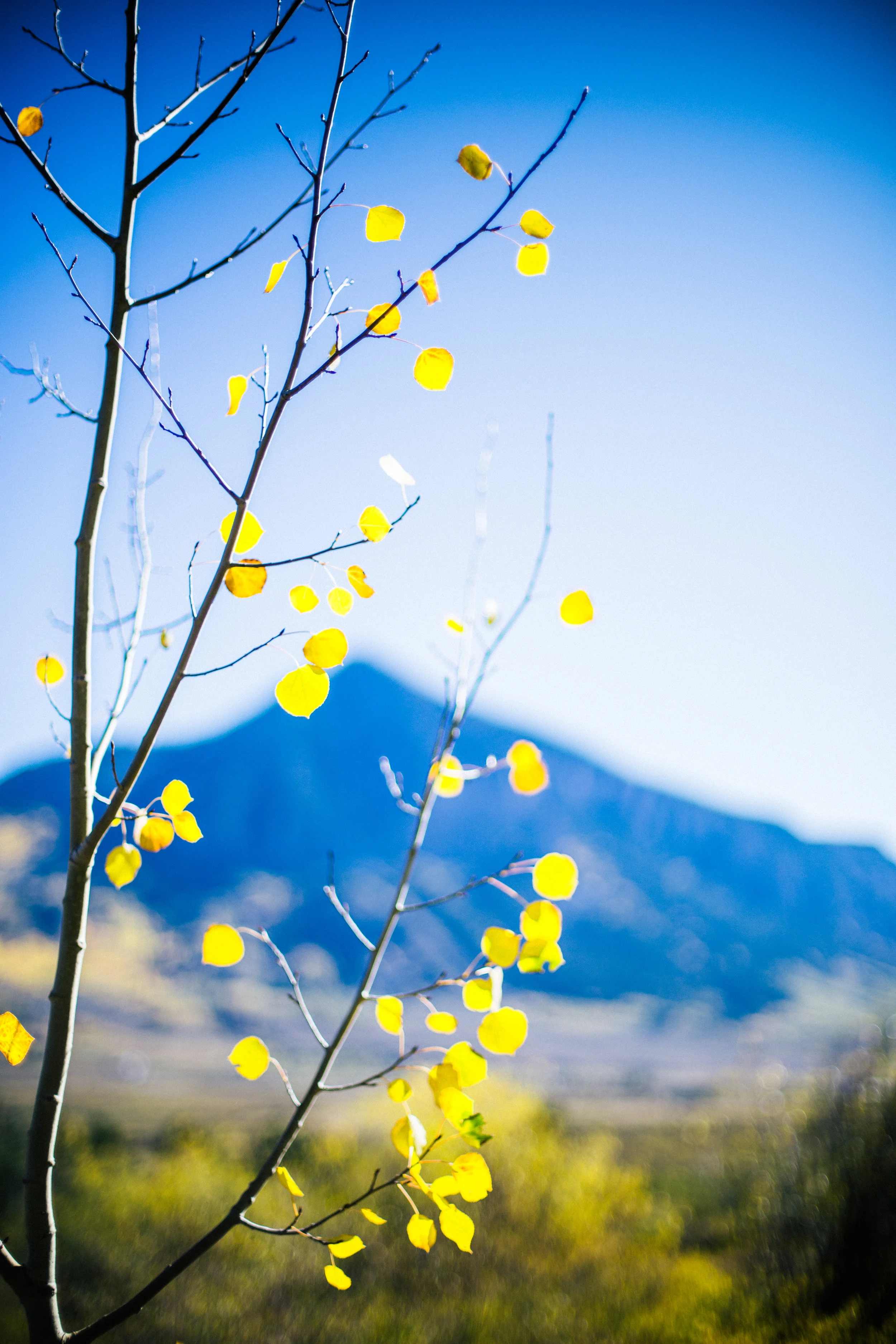 Nature_CB-12.jpg