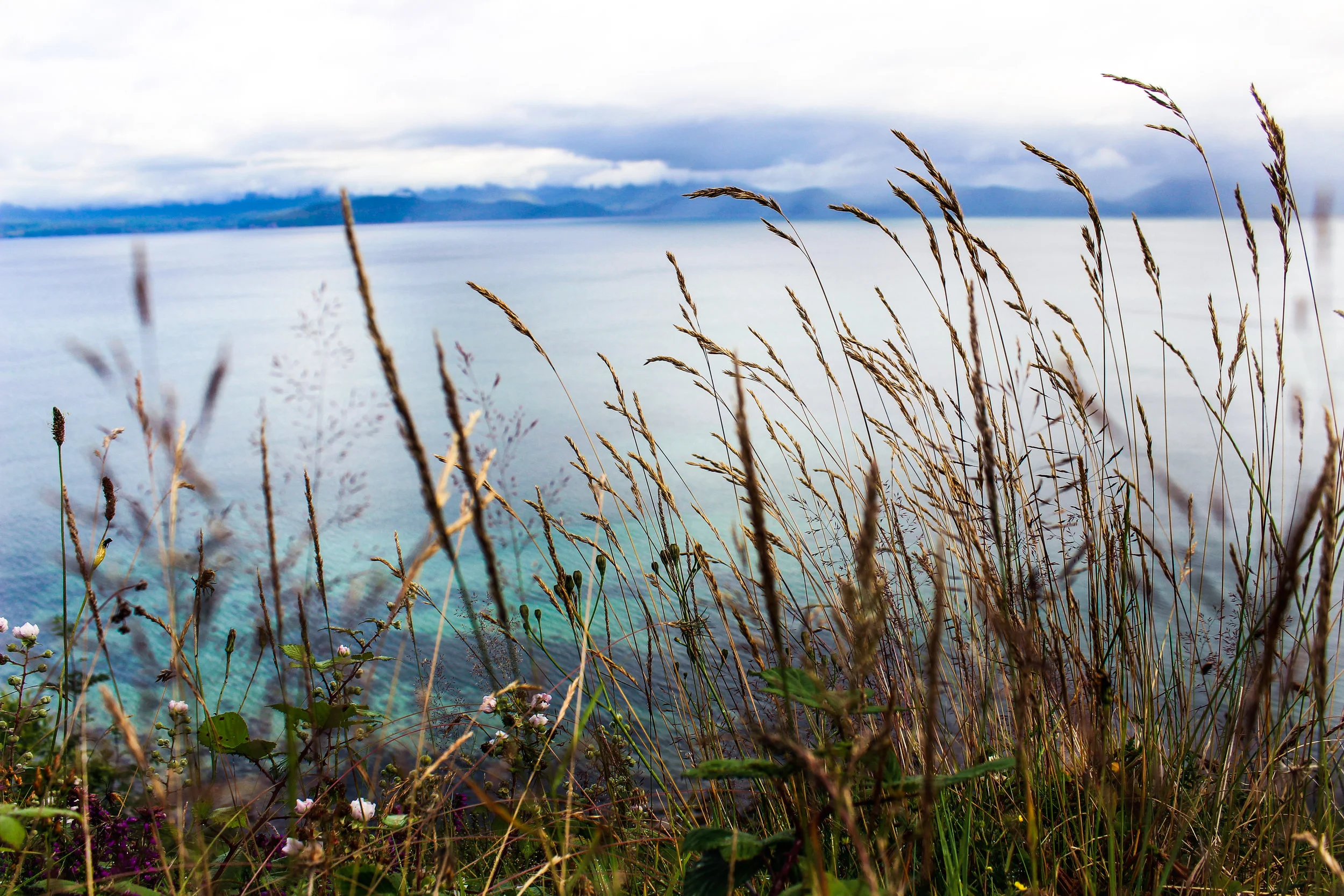 Nature_Teryn-7.jpg