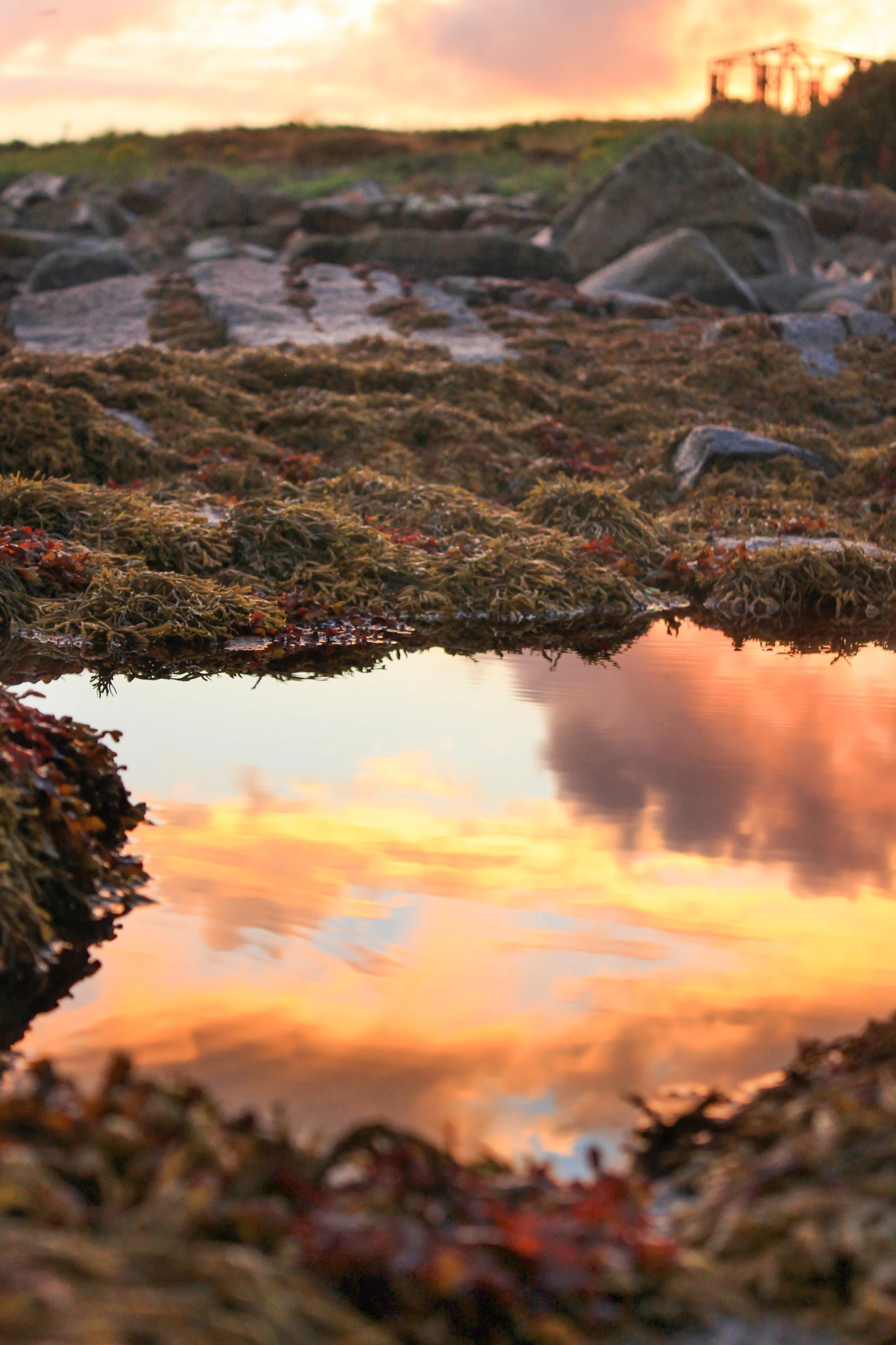 Nature_Teryn-14.jpg