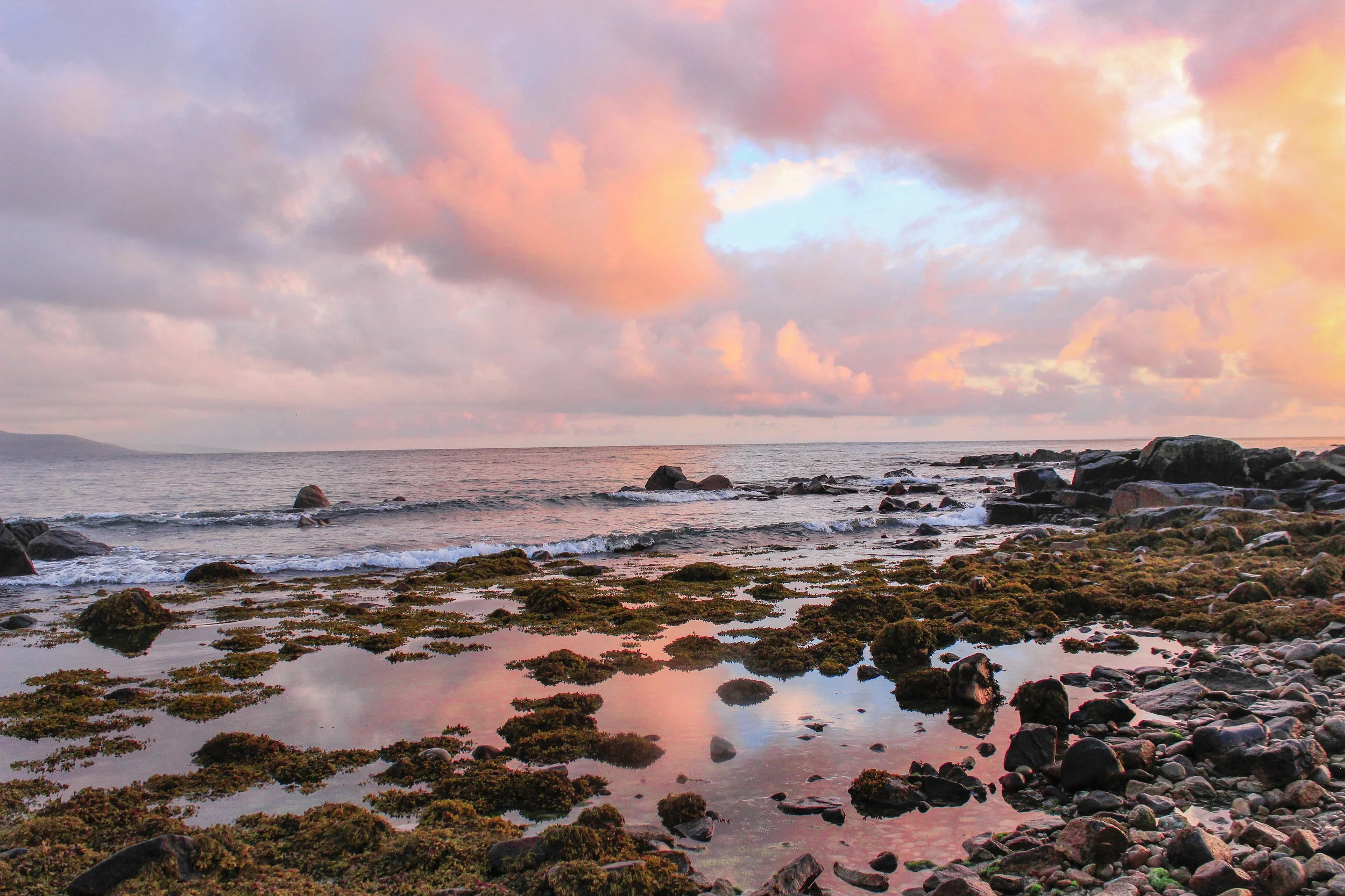 Nature_Teryn-13.jpg